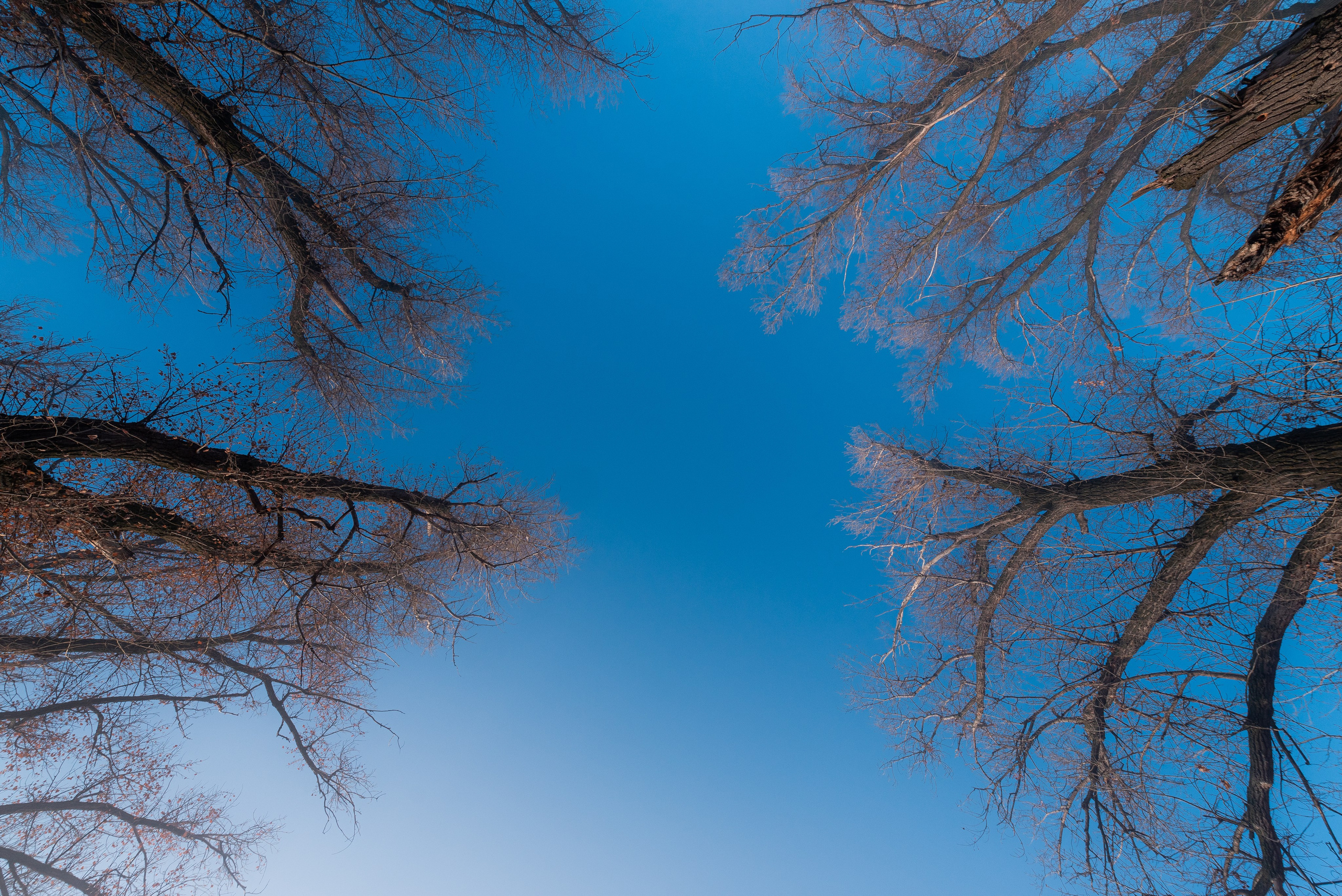 Фотографии утреннего тумана под Волжским. Фотограф в Волгограде и Волжском Александр Горбань
