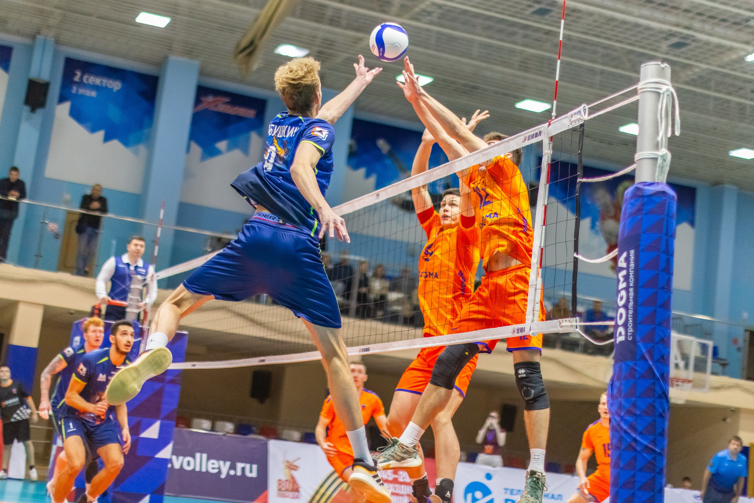 Волейбол. Фотограф Марина Кобзева