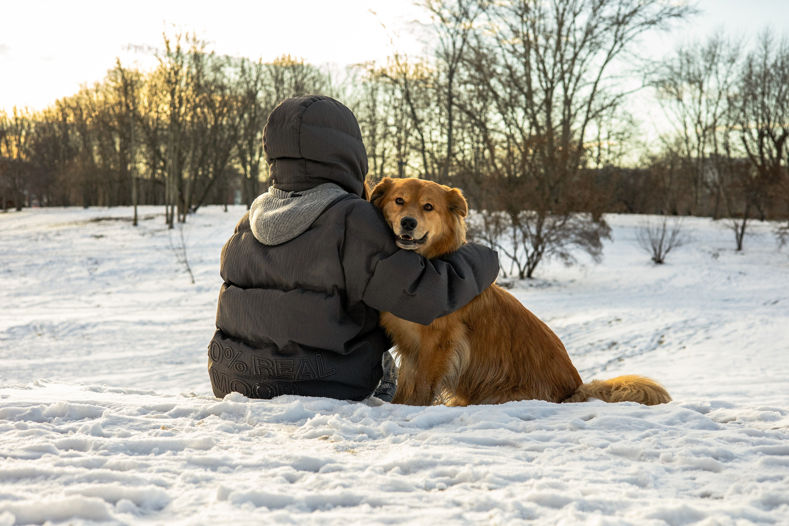 Рыж и Яна. Фотограф-анималист Ксения Шевцова|Москва