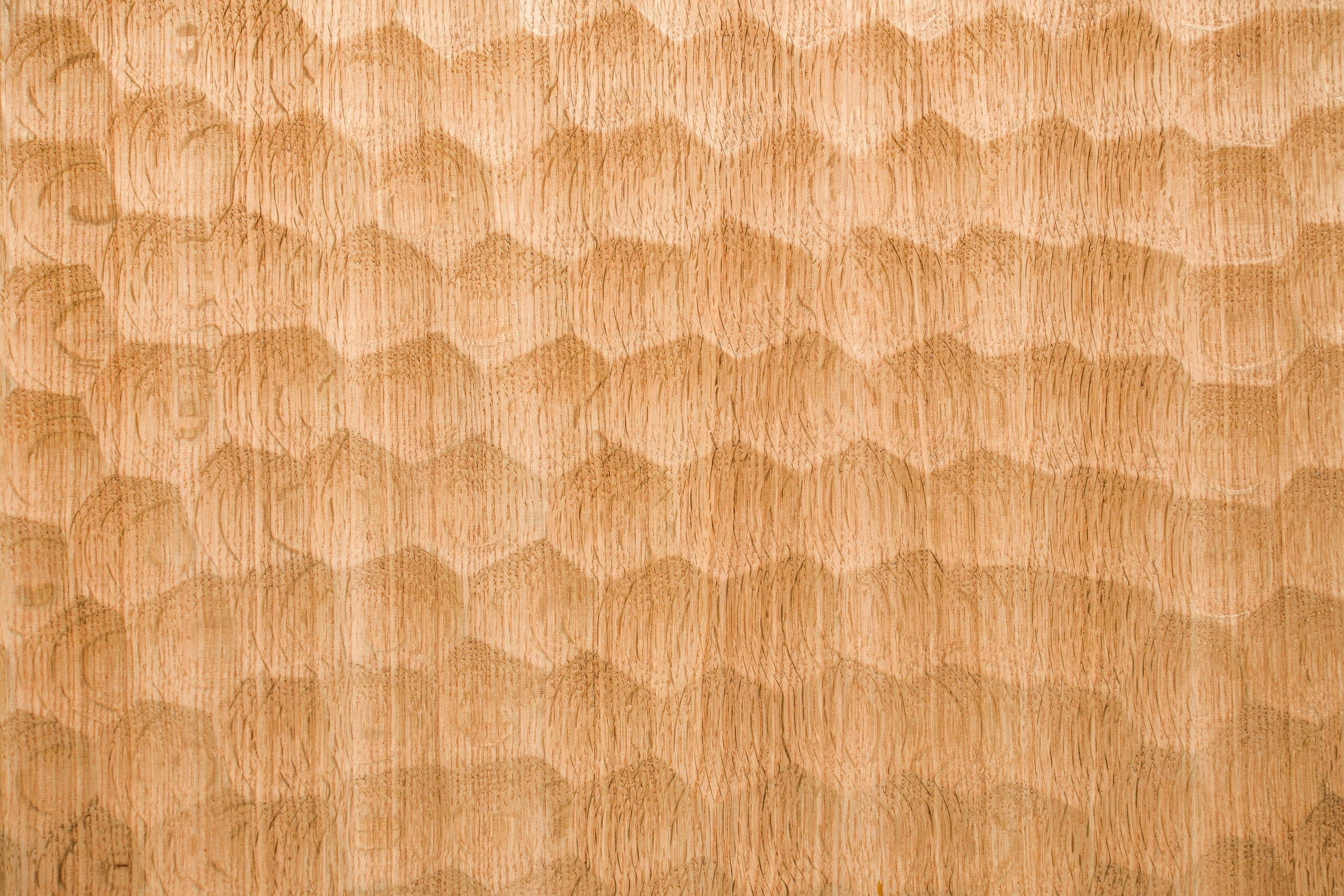 Живет художник. Arseniy Karchevskiy I Photographer