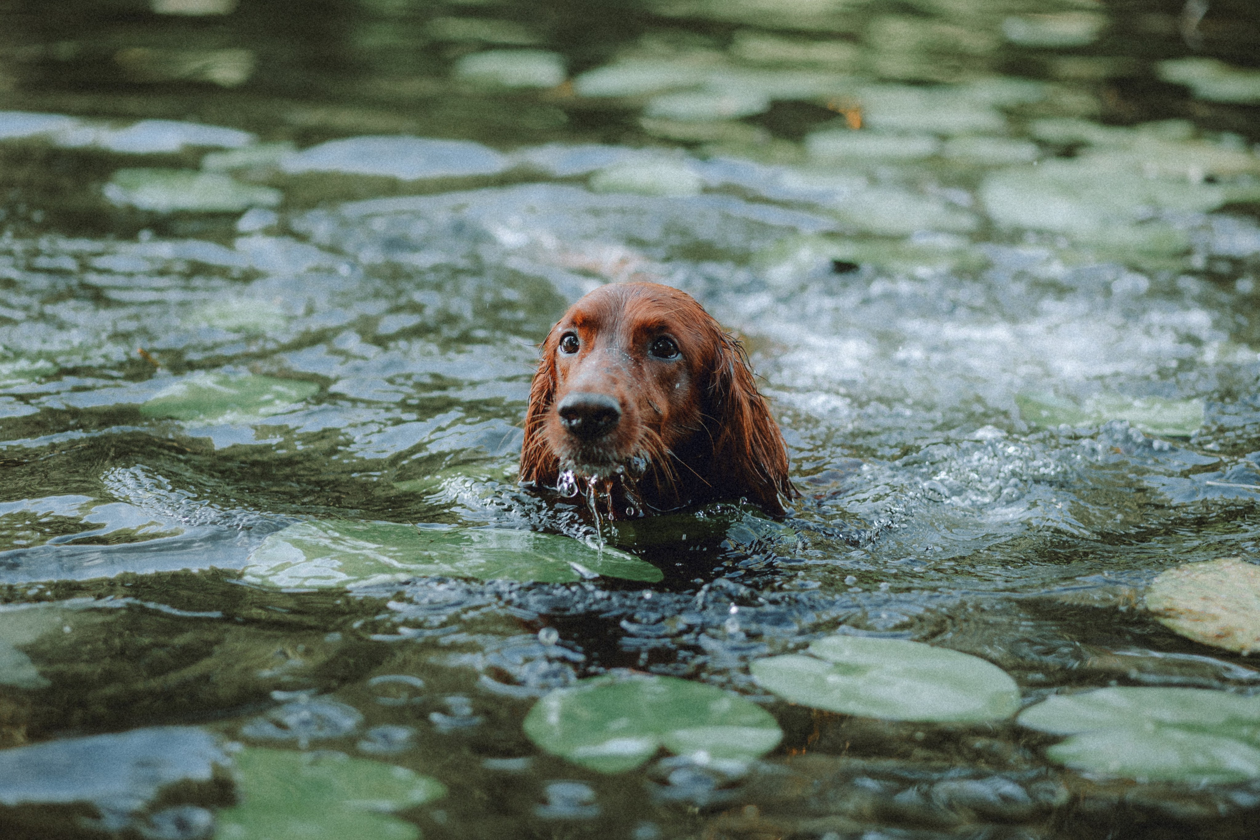 Маша и Джерри