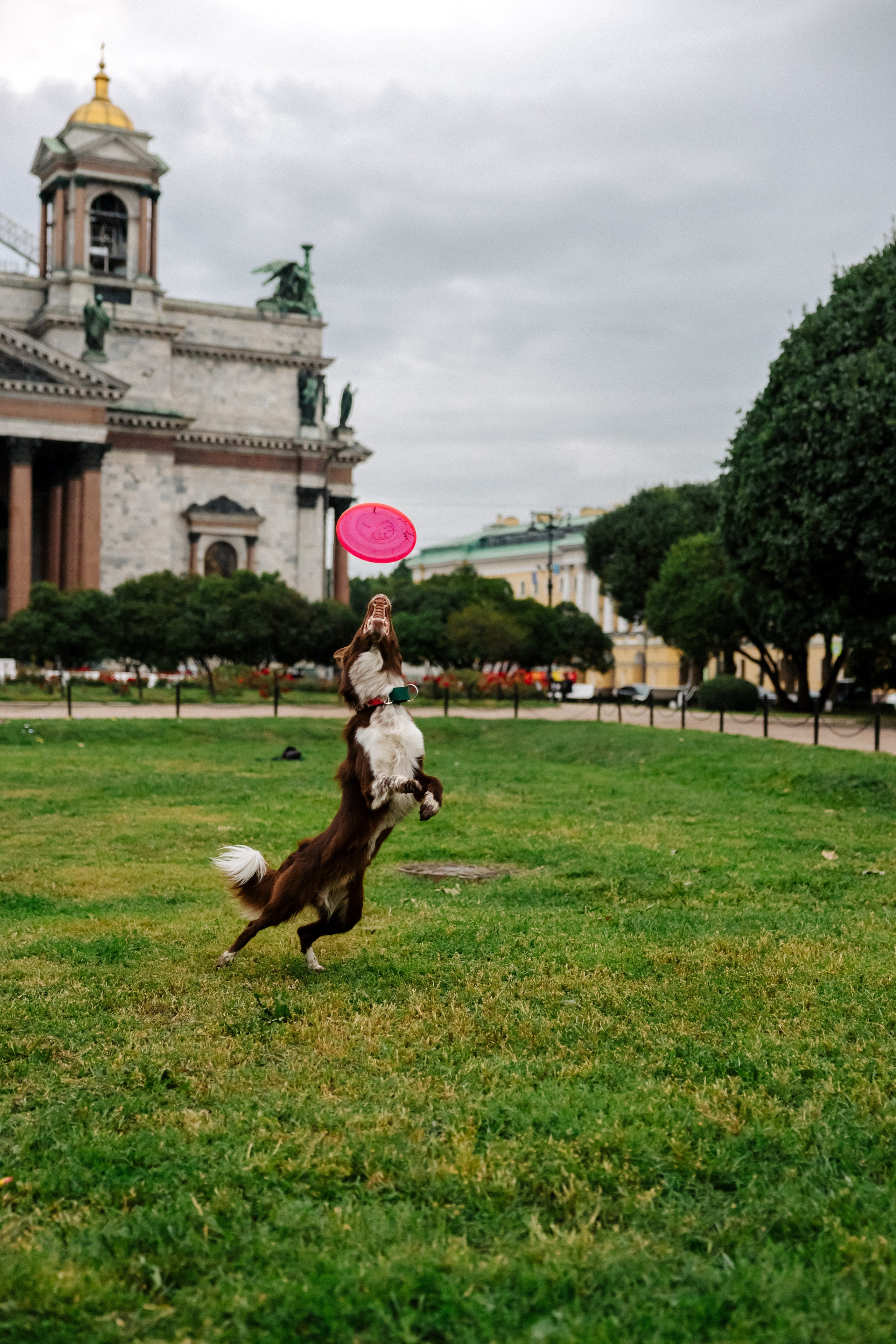 Streetfoto Стритфото Санкт-Петербург
