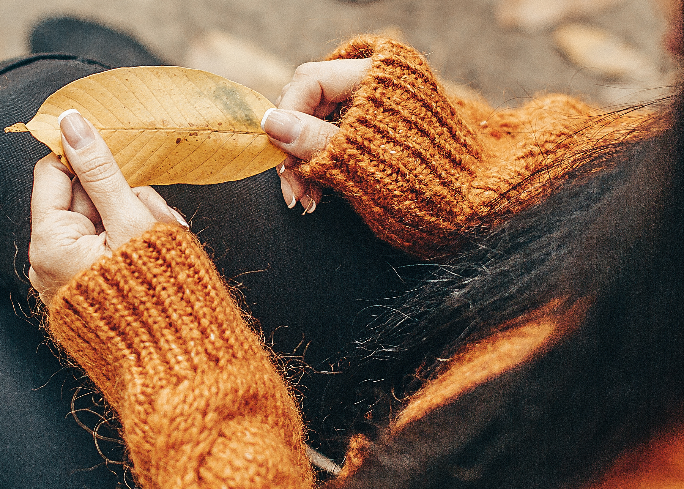 Моя осень «Рождественский парк». Свадебный и семейный фотограф/видеограф в Краснодаре Наталья Осинская