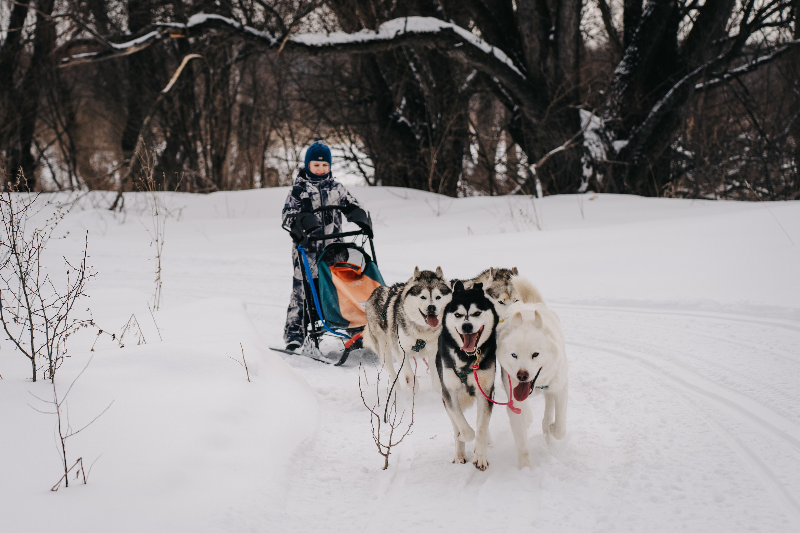 Репортажная съемка. Репортажный фотограф в Барнауле Новиков Кирилл