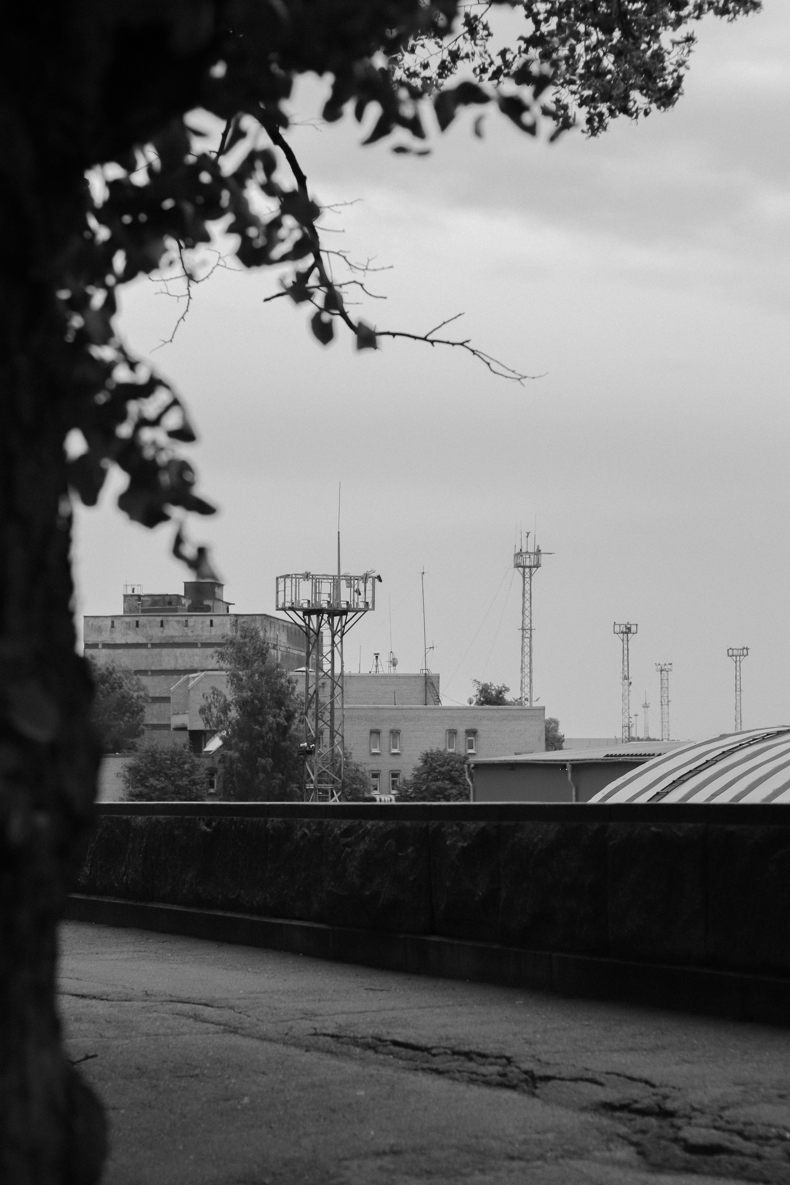 Contour. Фотограф и исследователь фотографии из Санкт-Петербурга Елизавета Веприцкая