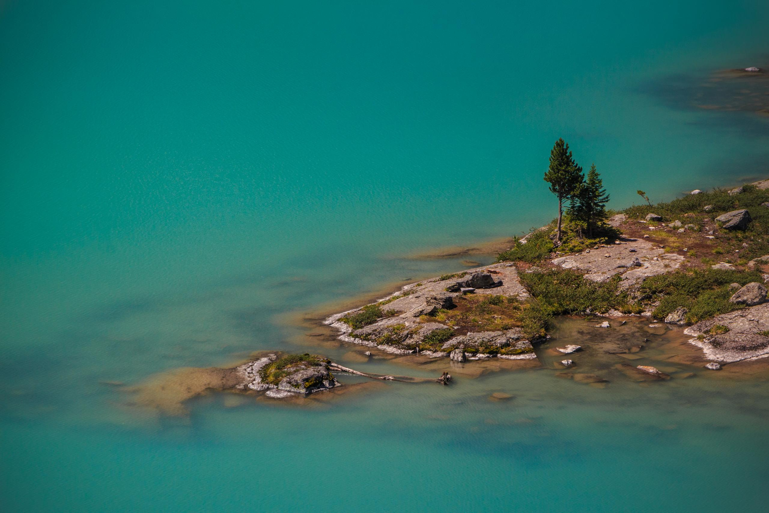 Природа. Фотограф для хороших людей в Юрге, Томске, Кемерово, Республике Алтай