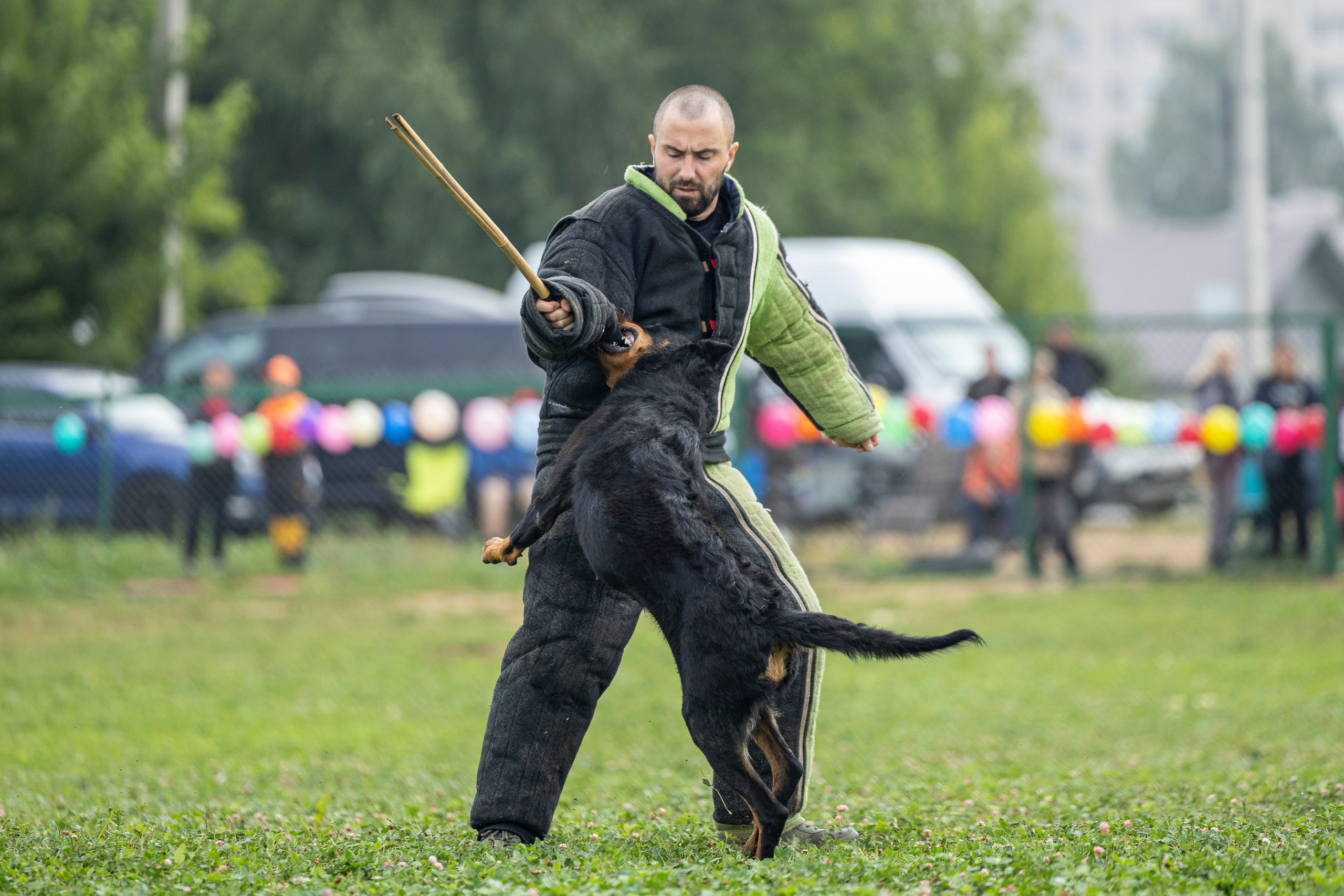 Соревнования по Мондьорингу г. Вологда 10-11.08.2024. Фотограф-анималист Анна Маринич