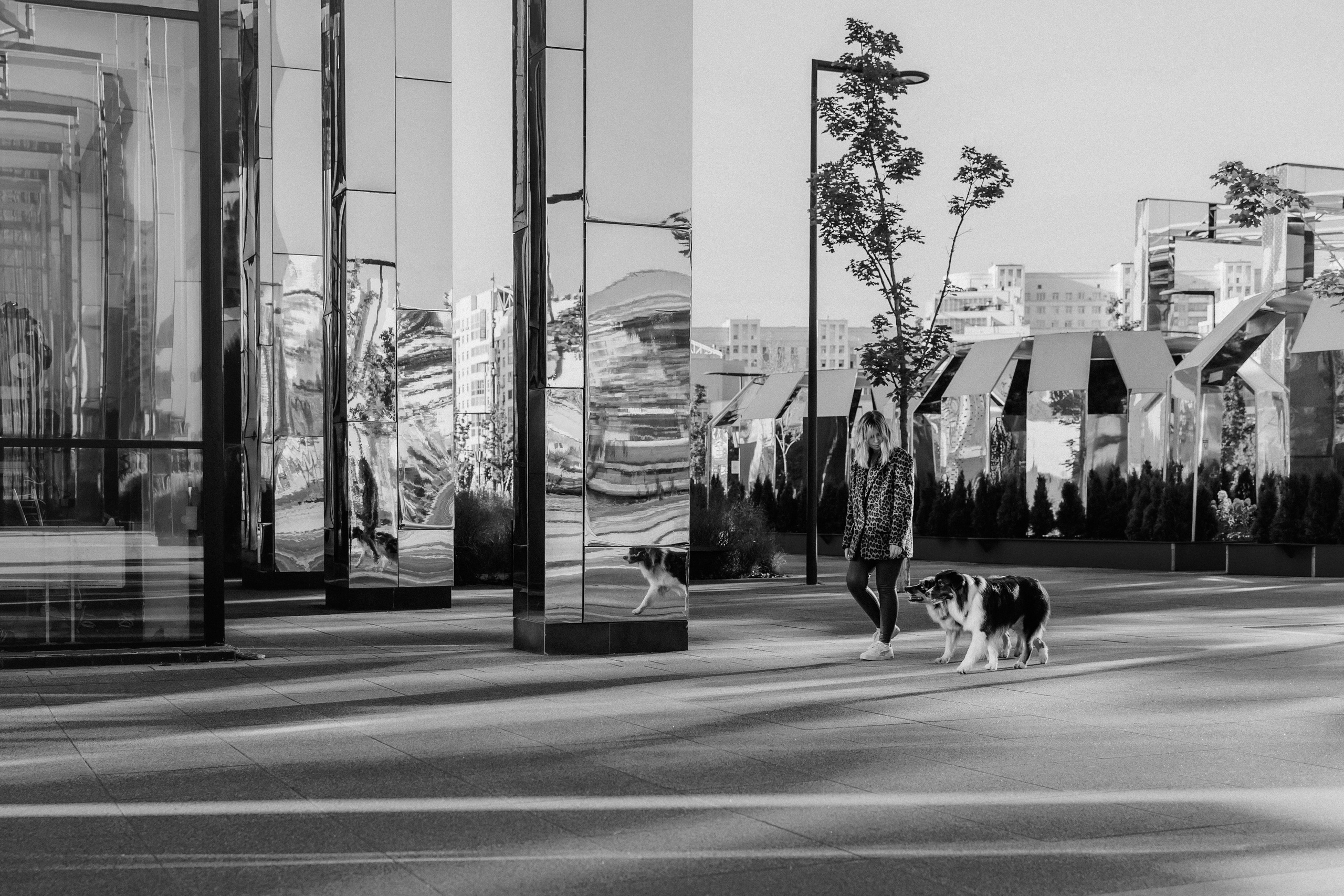 Аня, Чарли и Ева. Фотограф-анималист Елена Радченко, Москва