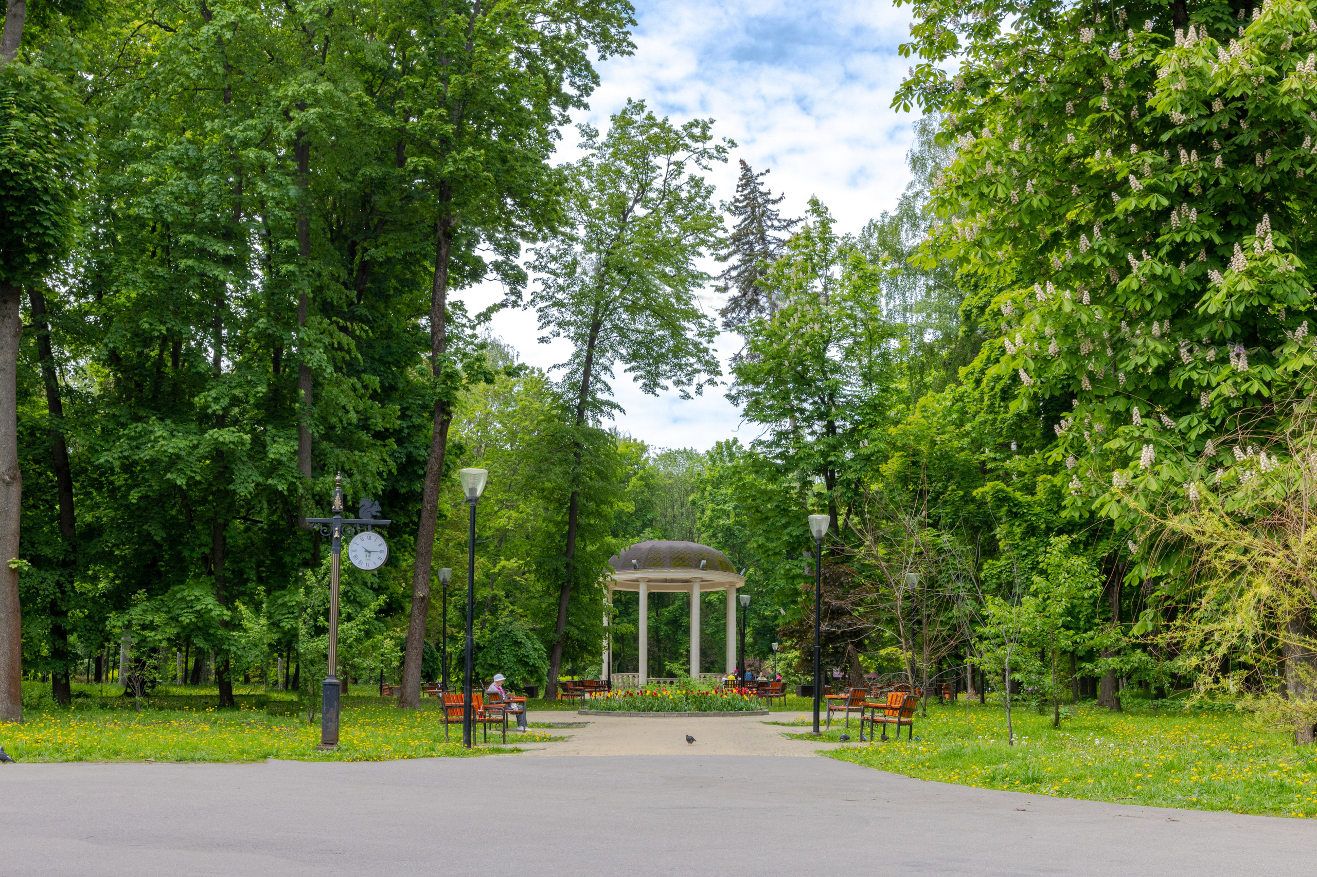 Парк им. П. П. Белоусова г. Тула 2024 г. Фотограф в Туле Крупский АнДРей. Фотостудия «КАДР71» в Туле
