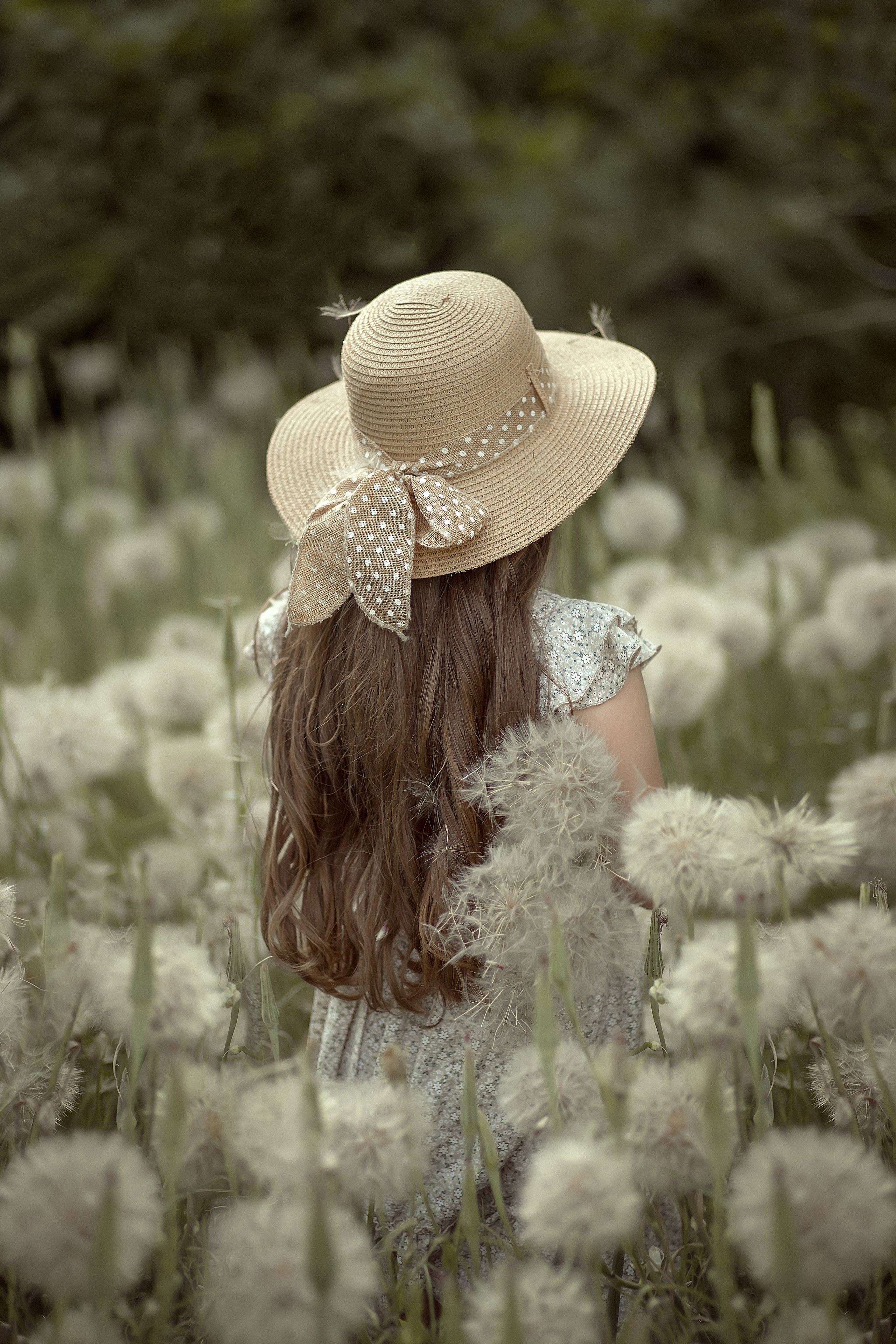 История в больших одуванах. Фотограф в Оренбурге Чопорова Тамара