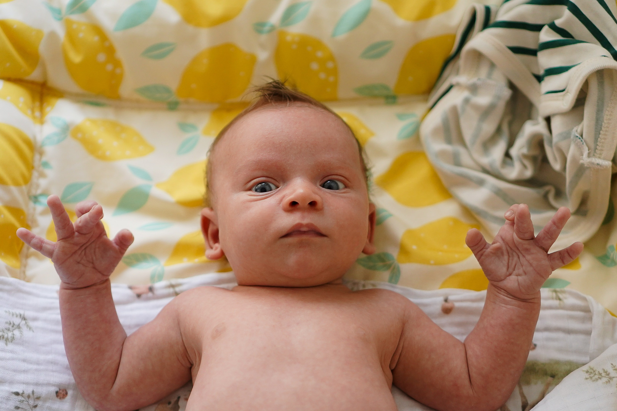 Федя, новенький на планете. Семейный фотограф в Москве Коровушкина Наталья. Съемка контента