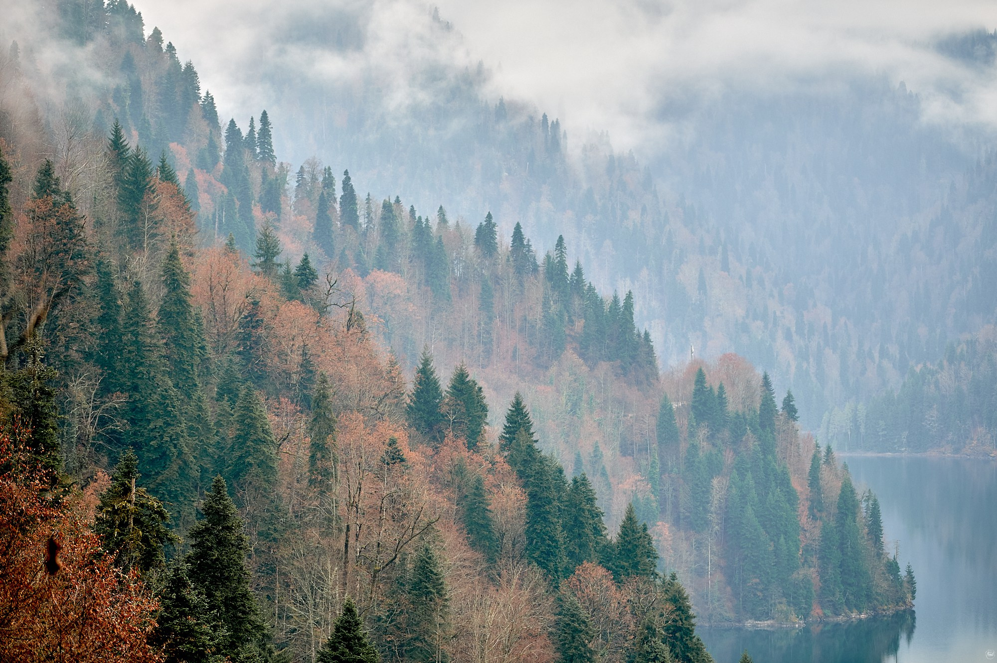 Озеро Рица, Абхазия. Декабрь 2024. Фотографии отовсюду и обо всем
