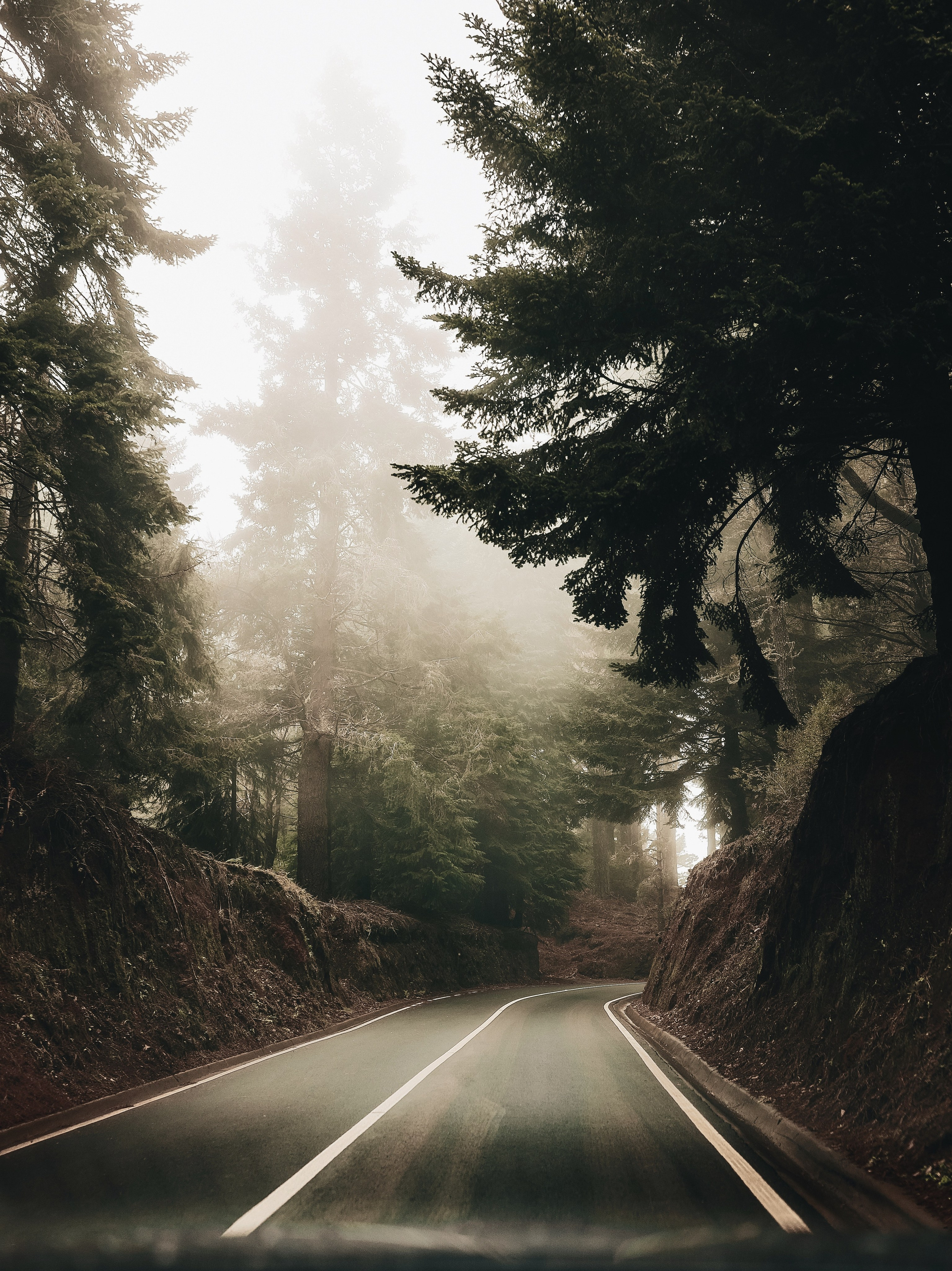 Madeira Island. Ekaterina Buneeva Photography