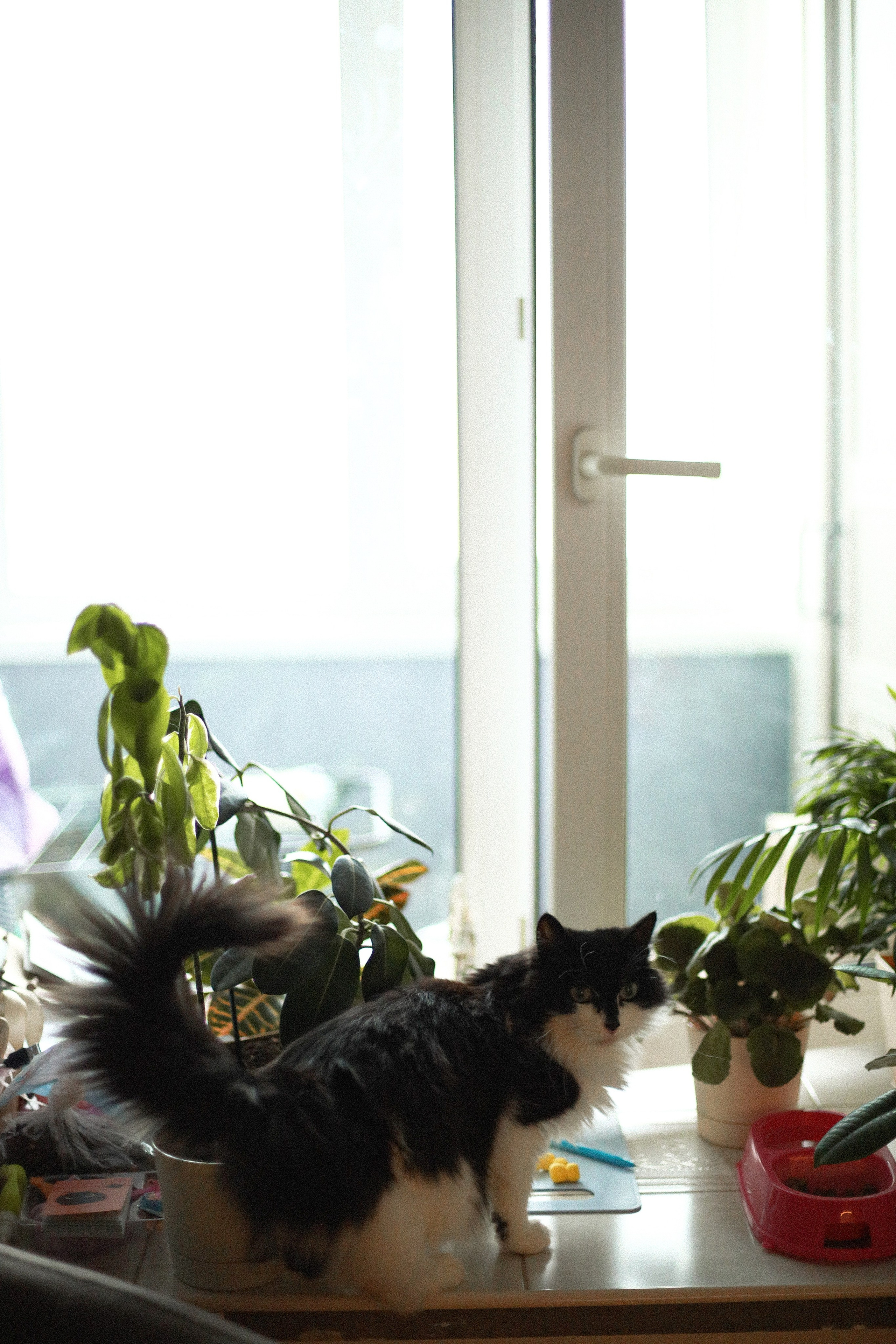 Домашний репортаж. Семейный фотограф в Тюмени | Алёна Снопкова