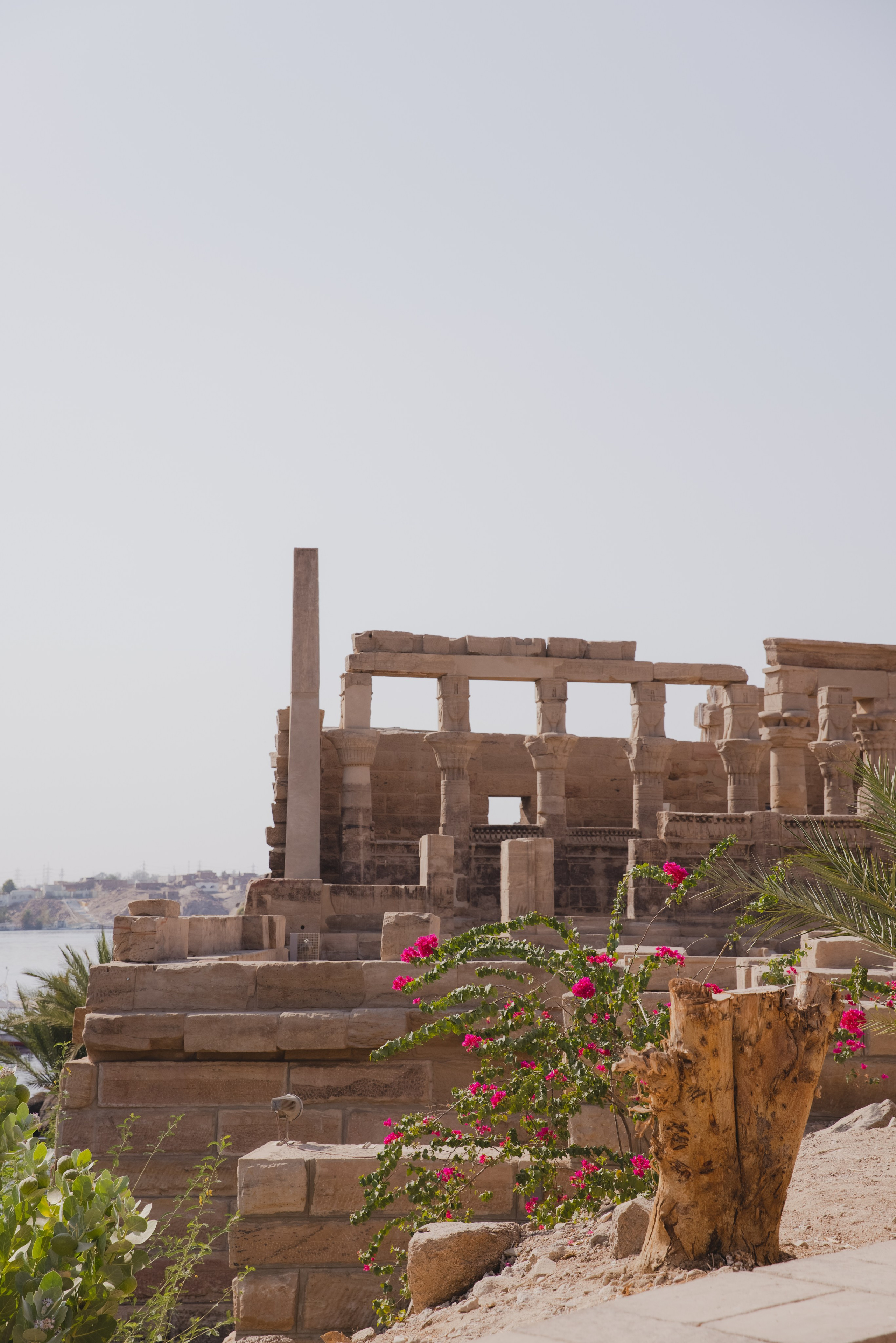 Египет. Женский Ретрит. сентябрь 2023 ФОТО. Профессиональный фотограф Татьяна Евглевская