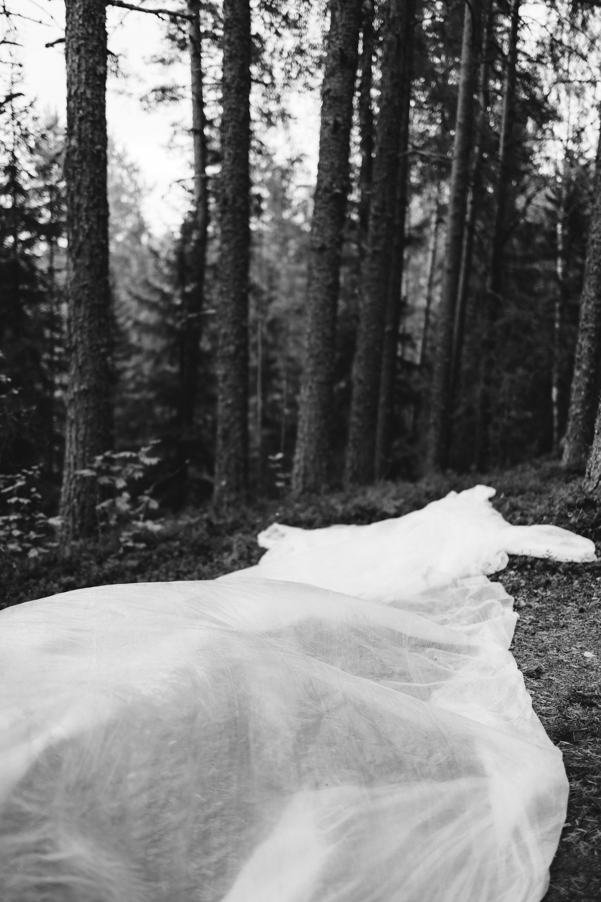 Олег. Полудницына Эльвира фотограф в Москве