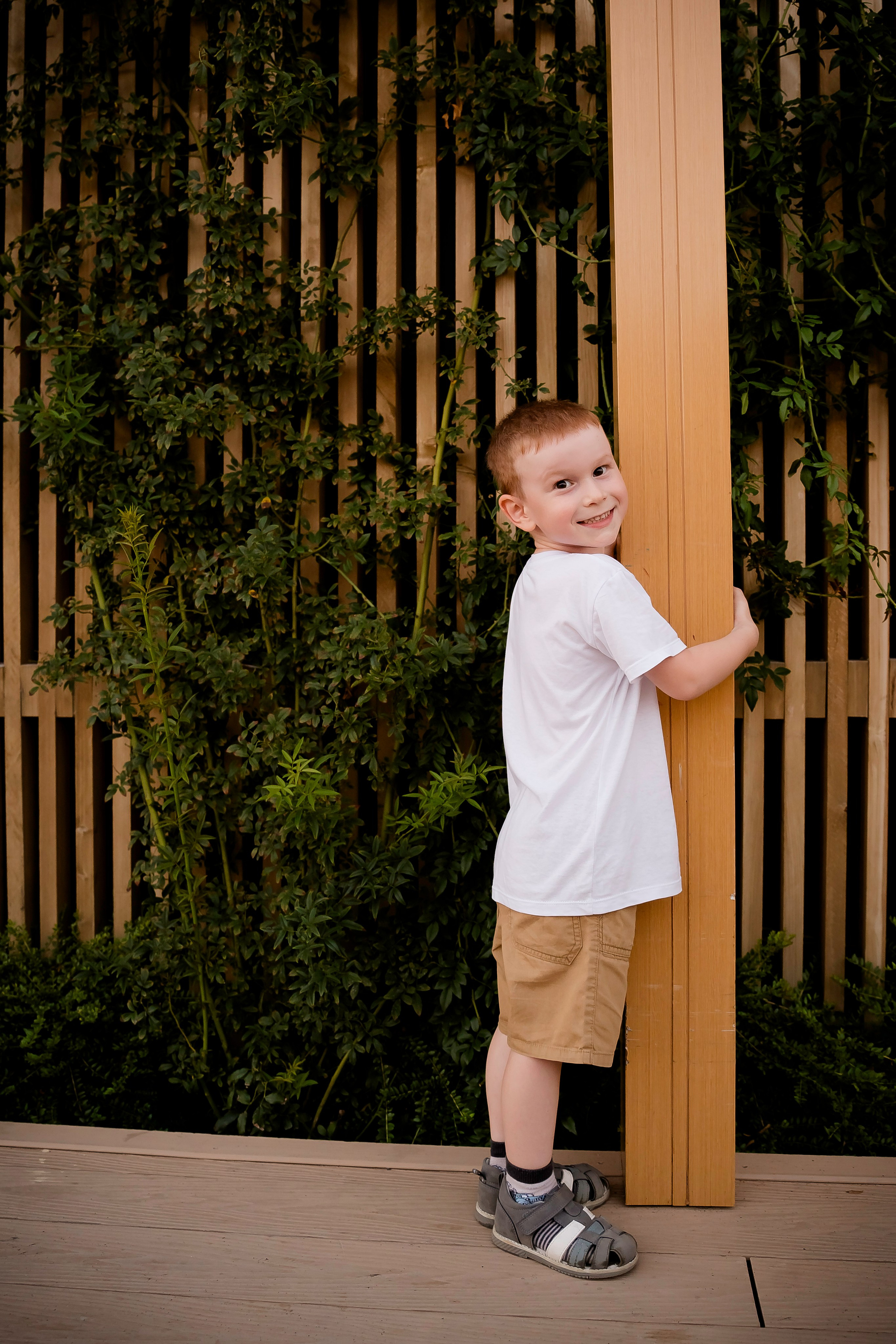 Солнечные лучики. Фотограф Ирина Ликсунова