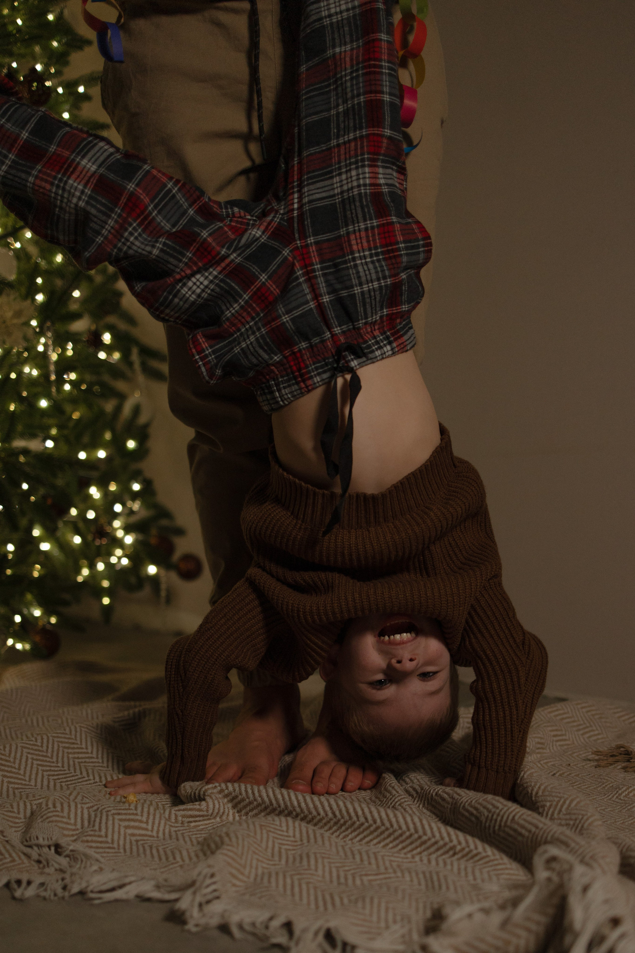 H O M E. Дарья Скворцова