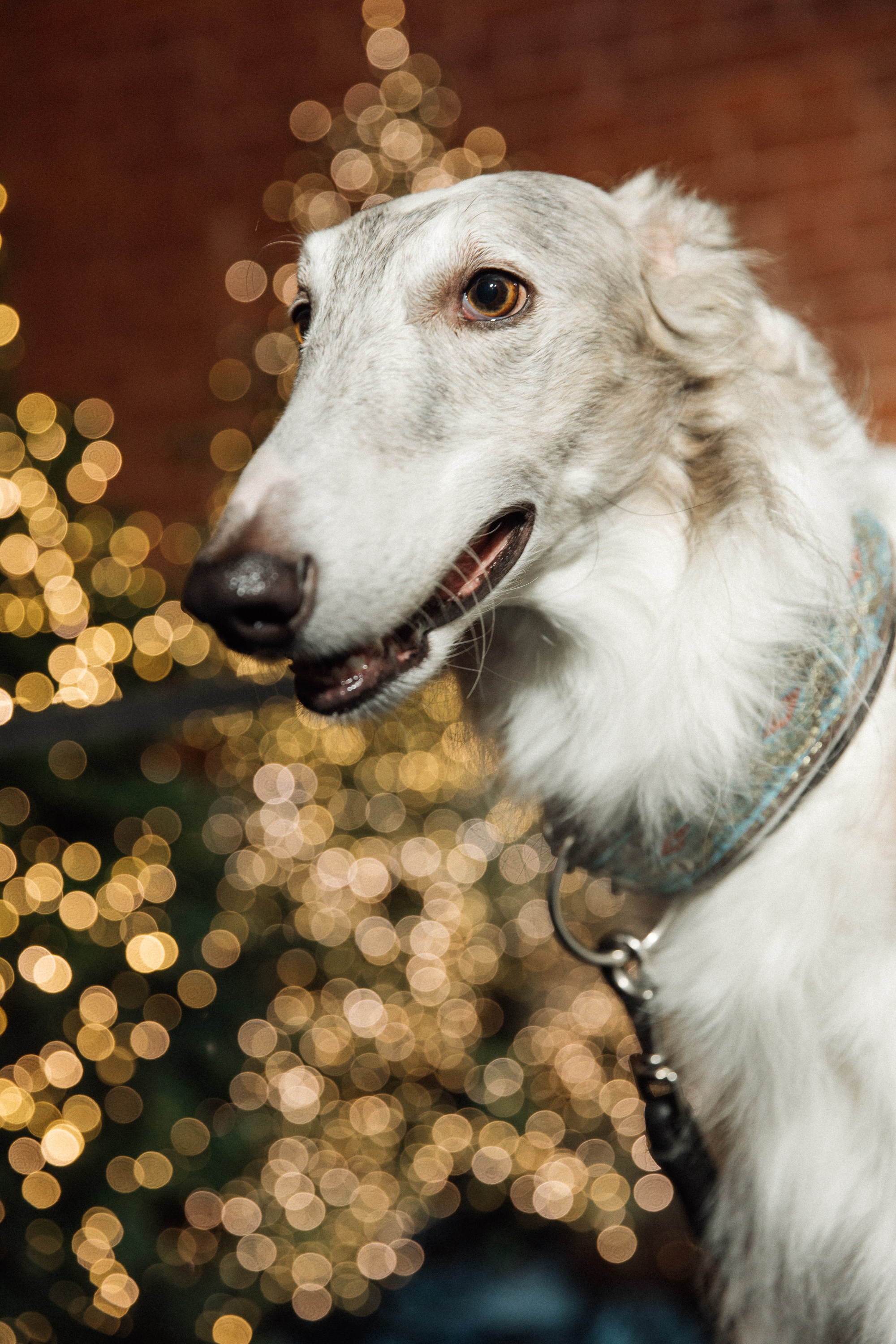 Ночь и Бал. Свадебный фотограф Дмитрий Воробьев Москва Ярославль