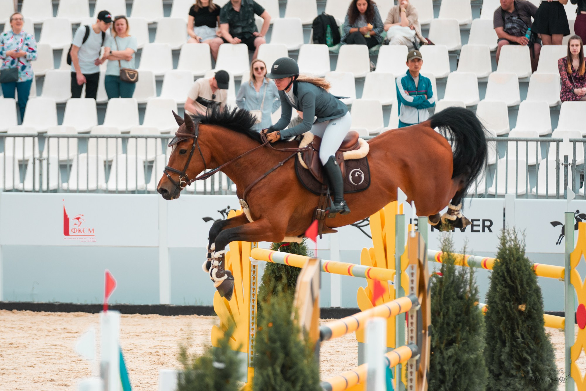 BITRIVER CUP 2023. Конный фотограф Куракина Дарья • Фотосессии с лошадьми