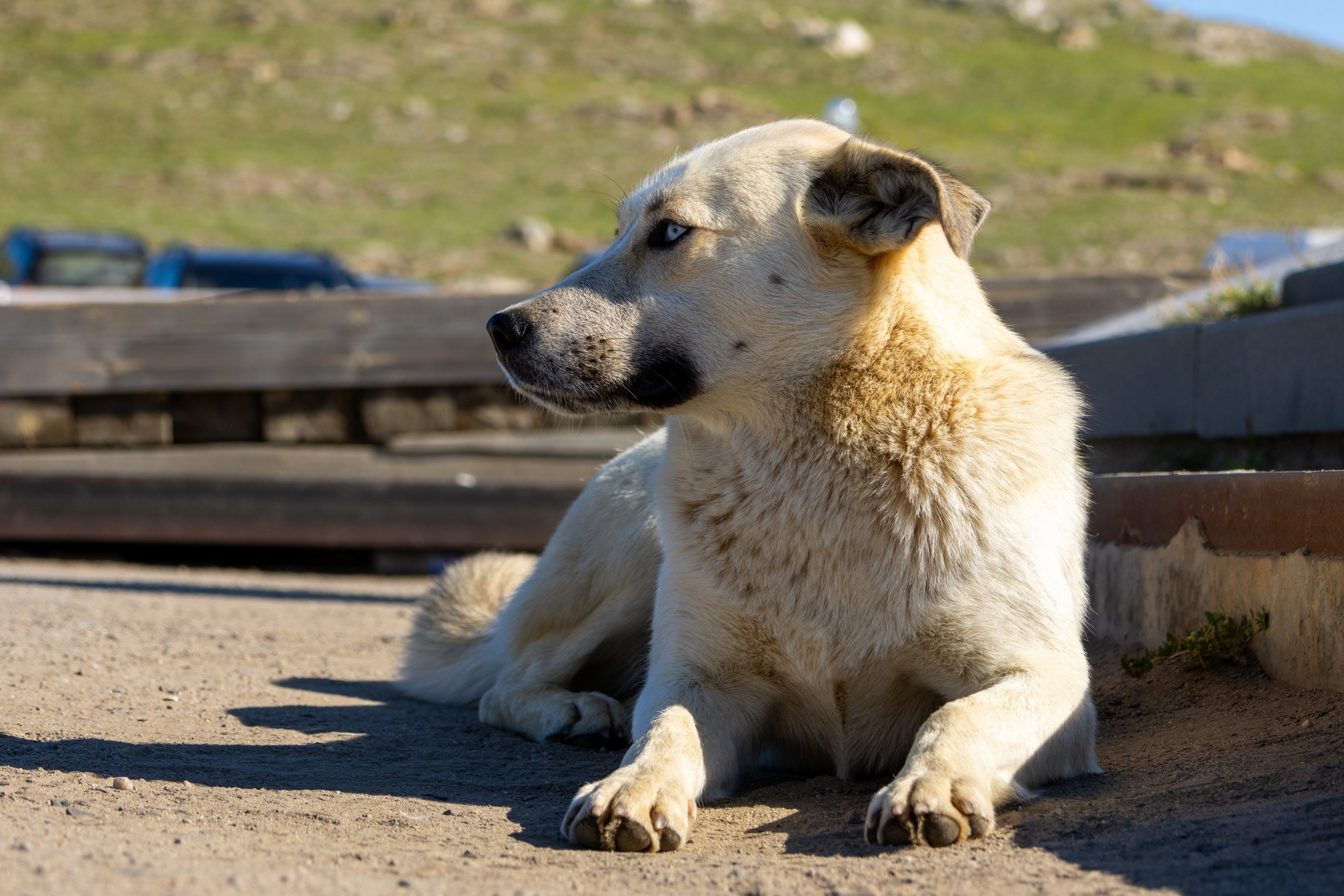 Ольхон. Jean De Vivre Gallery