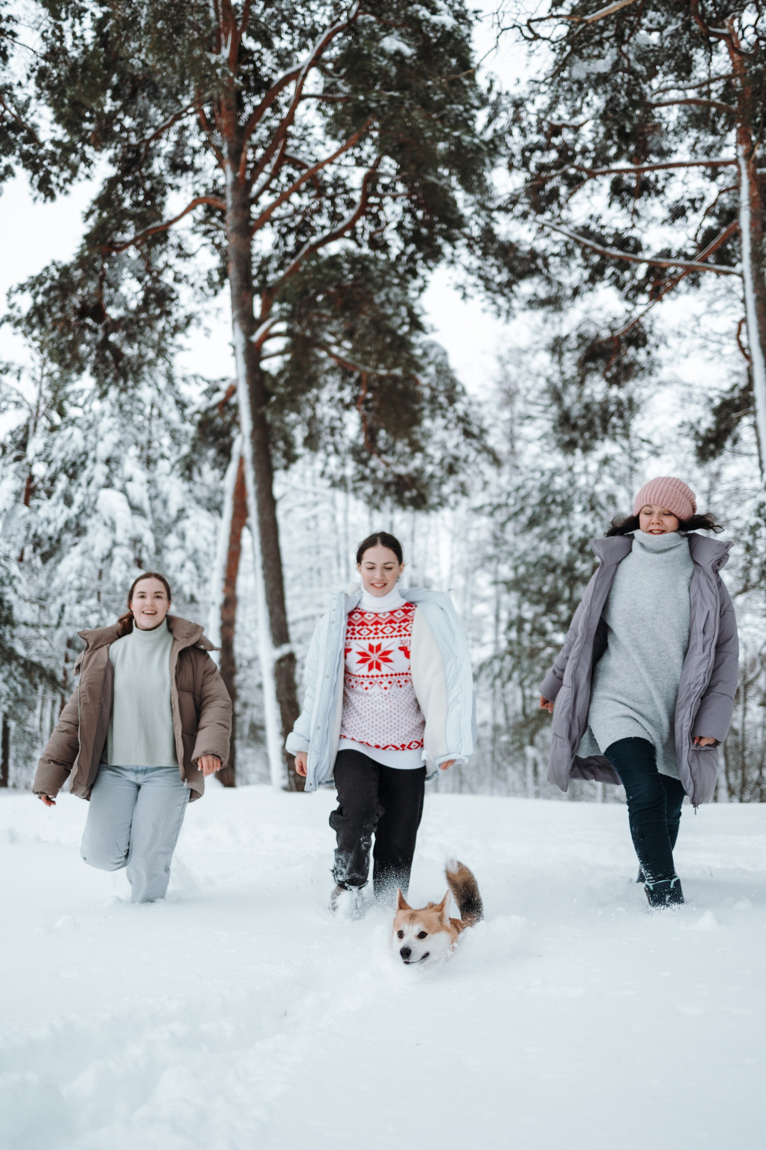 Оливка и ее семья. Фотограф — Анималист | Санкт-Петербург