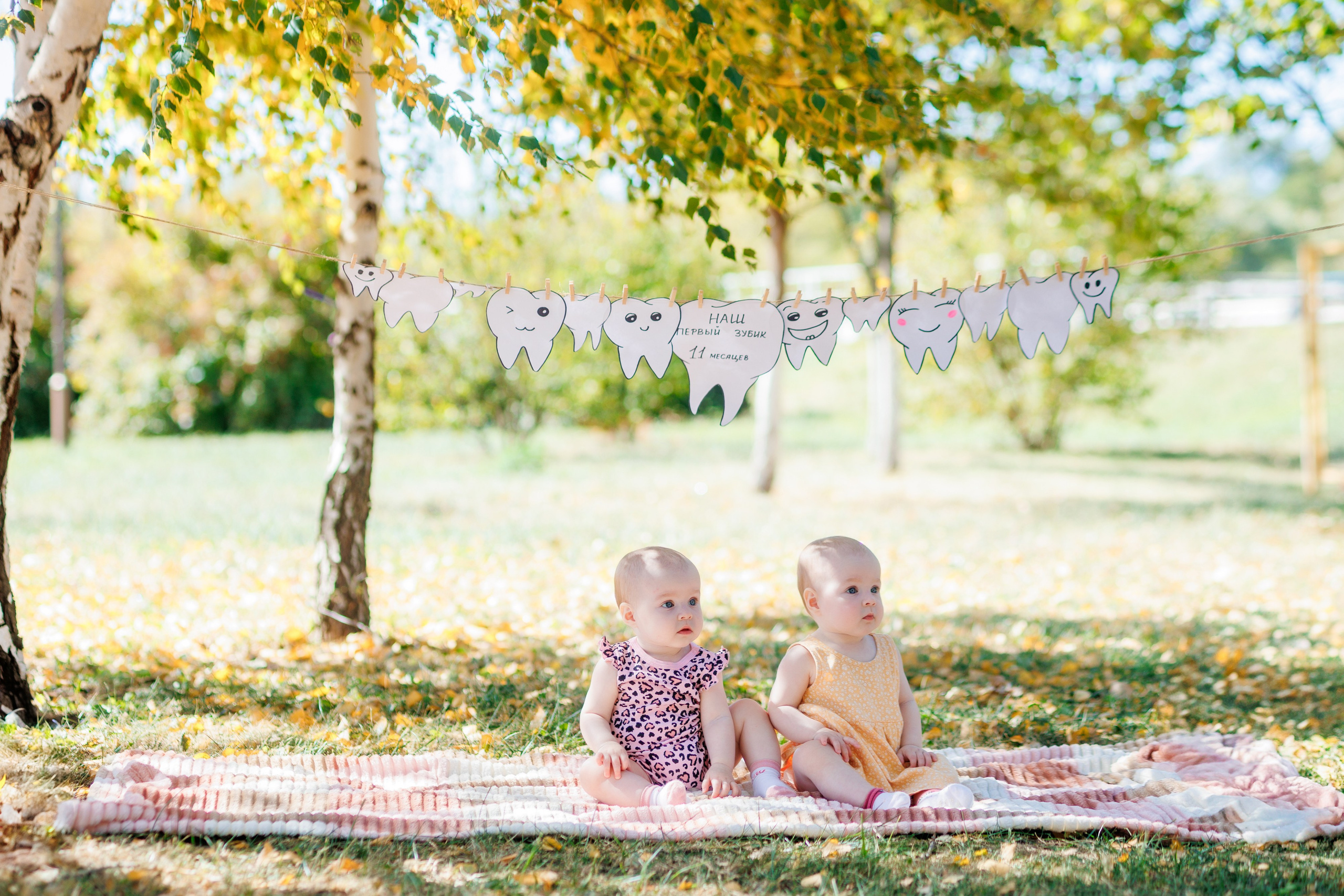 Первый зубик. Свадебный и семейный фотограф в Армавире