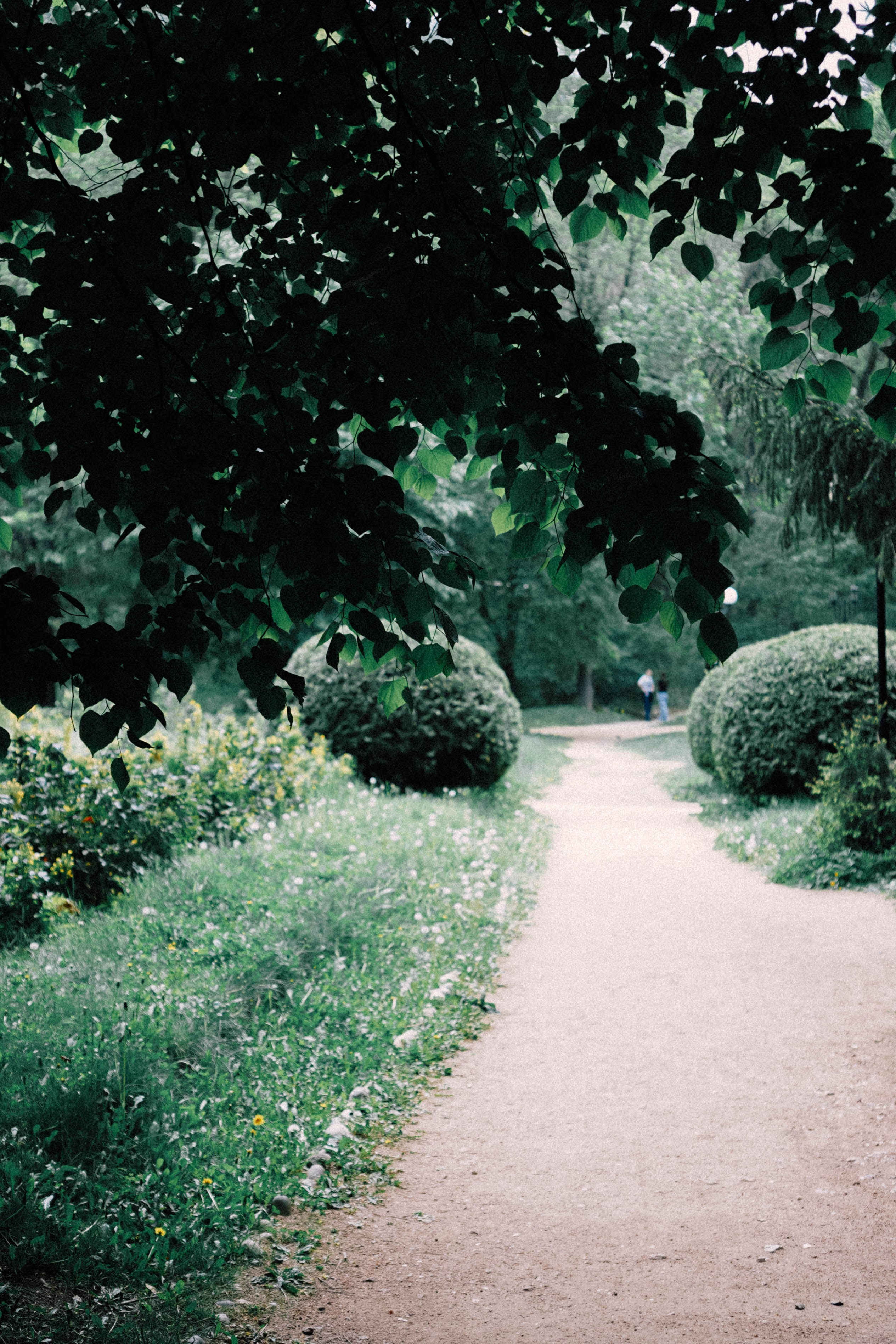 КИСЛОВОДСК. Профессиональный фотограф, Санкт-Петербург — Виктория Богомолова