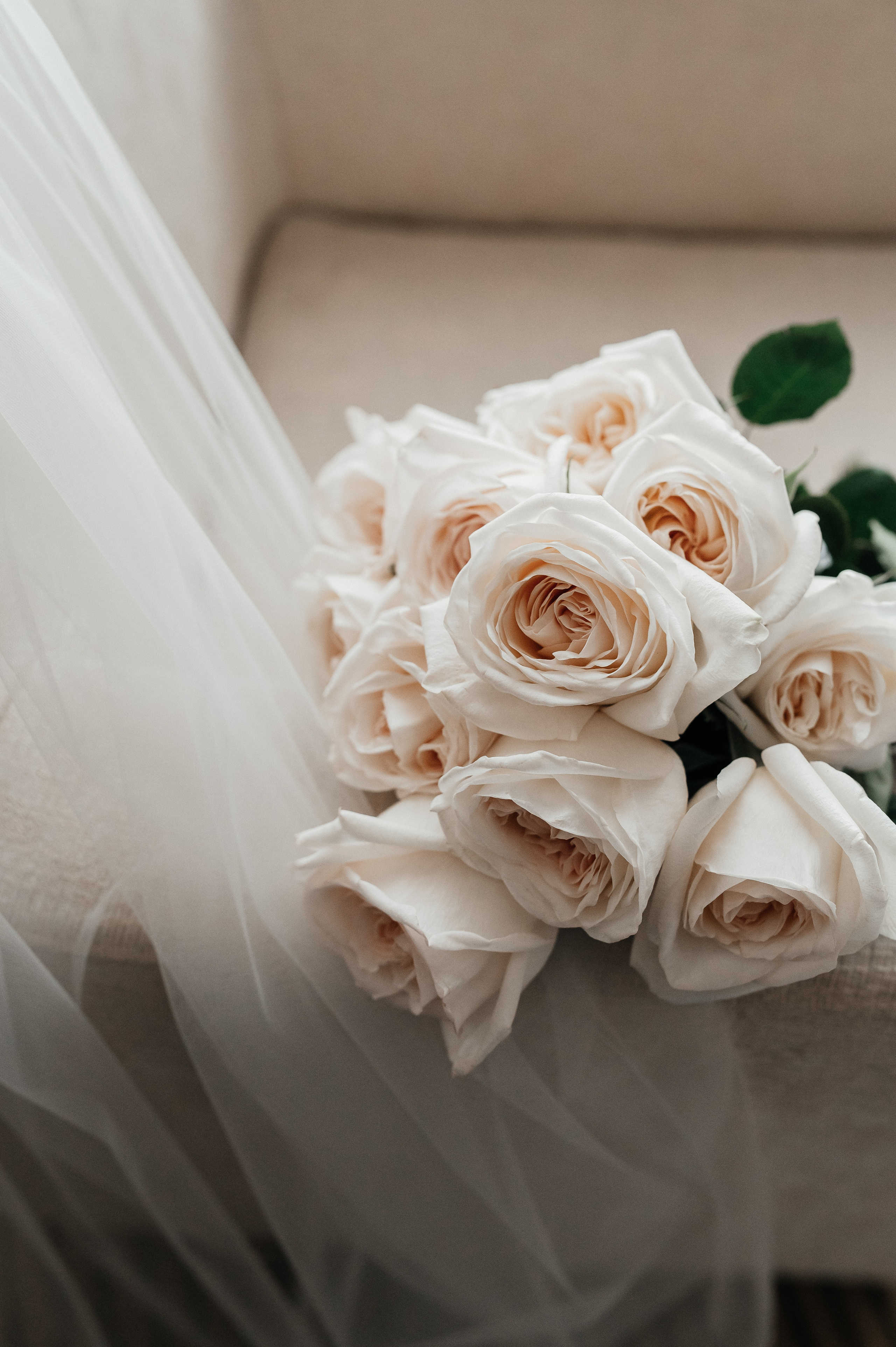 Дима и Оля. Свадебный фотограф Евгения Наумовец