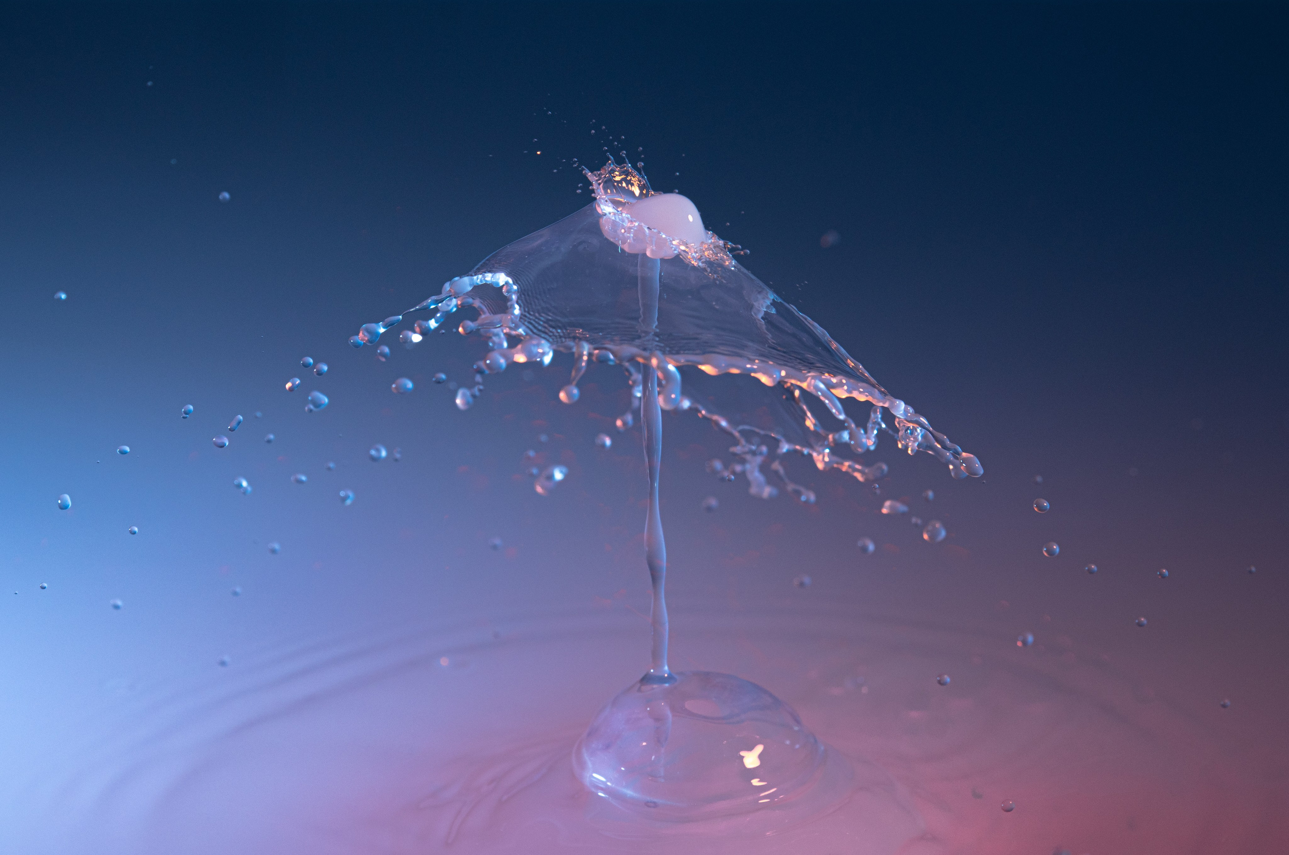 На досуге. Фотограф в Вязьме