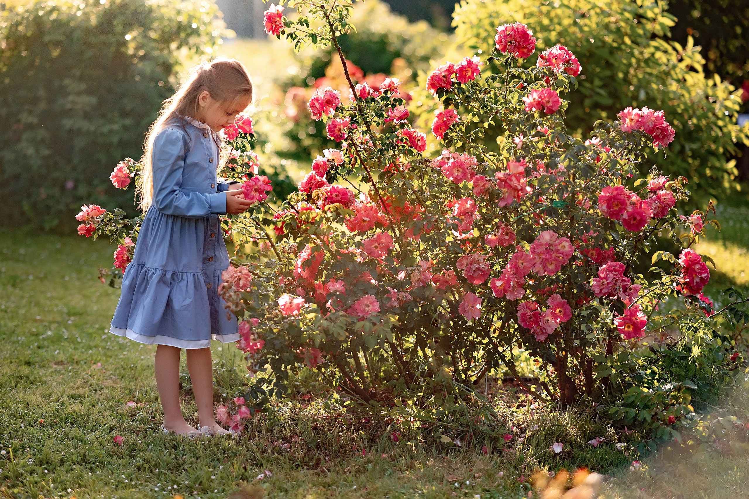 Свадебный и семейный фотограф в Туле и Москве Полукарова Юлия