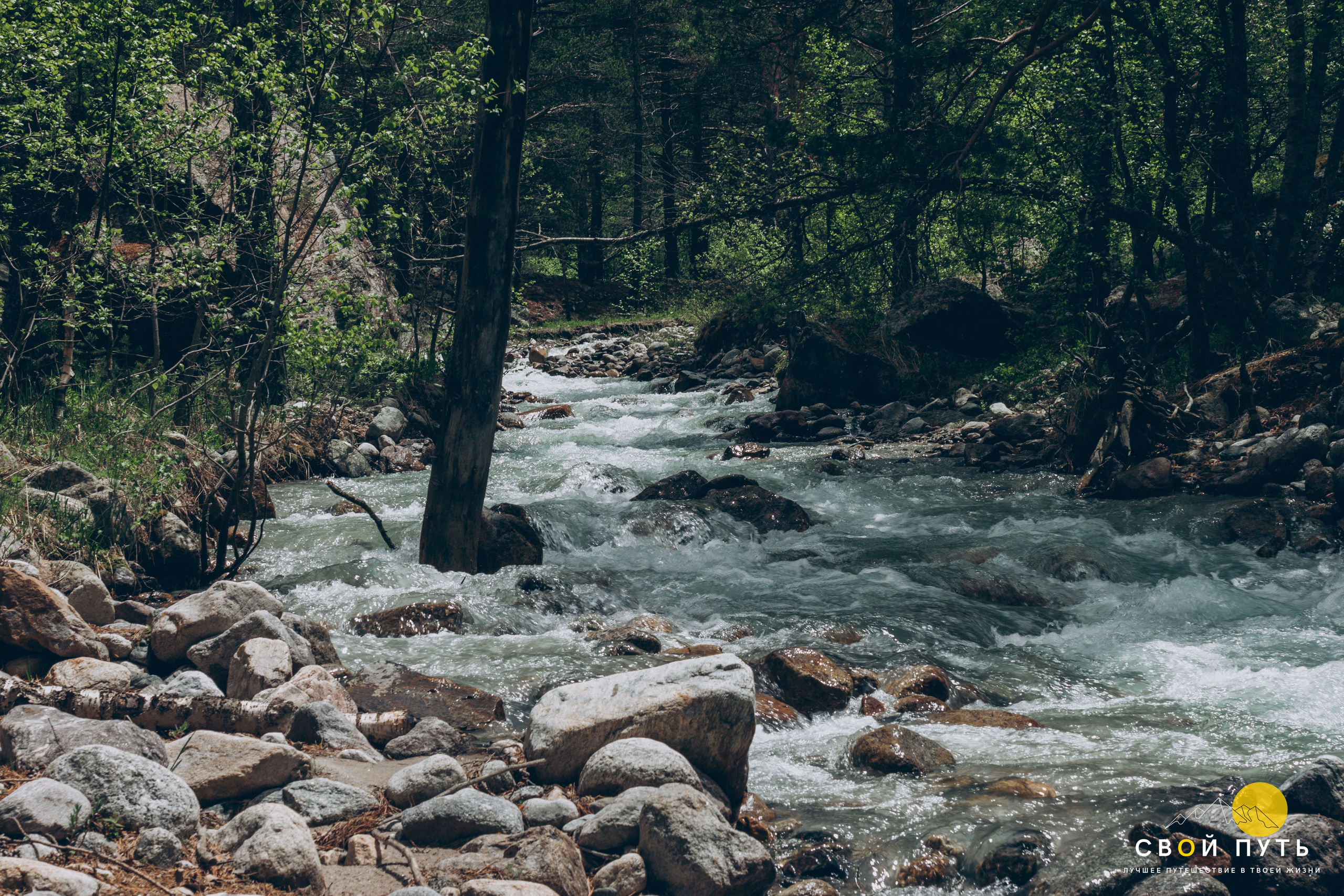 Кабардино-Балкарская Республика. Фотограф в Ростове-на-Дону Юлия Желтова