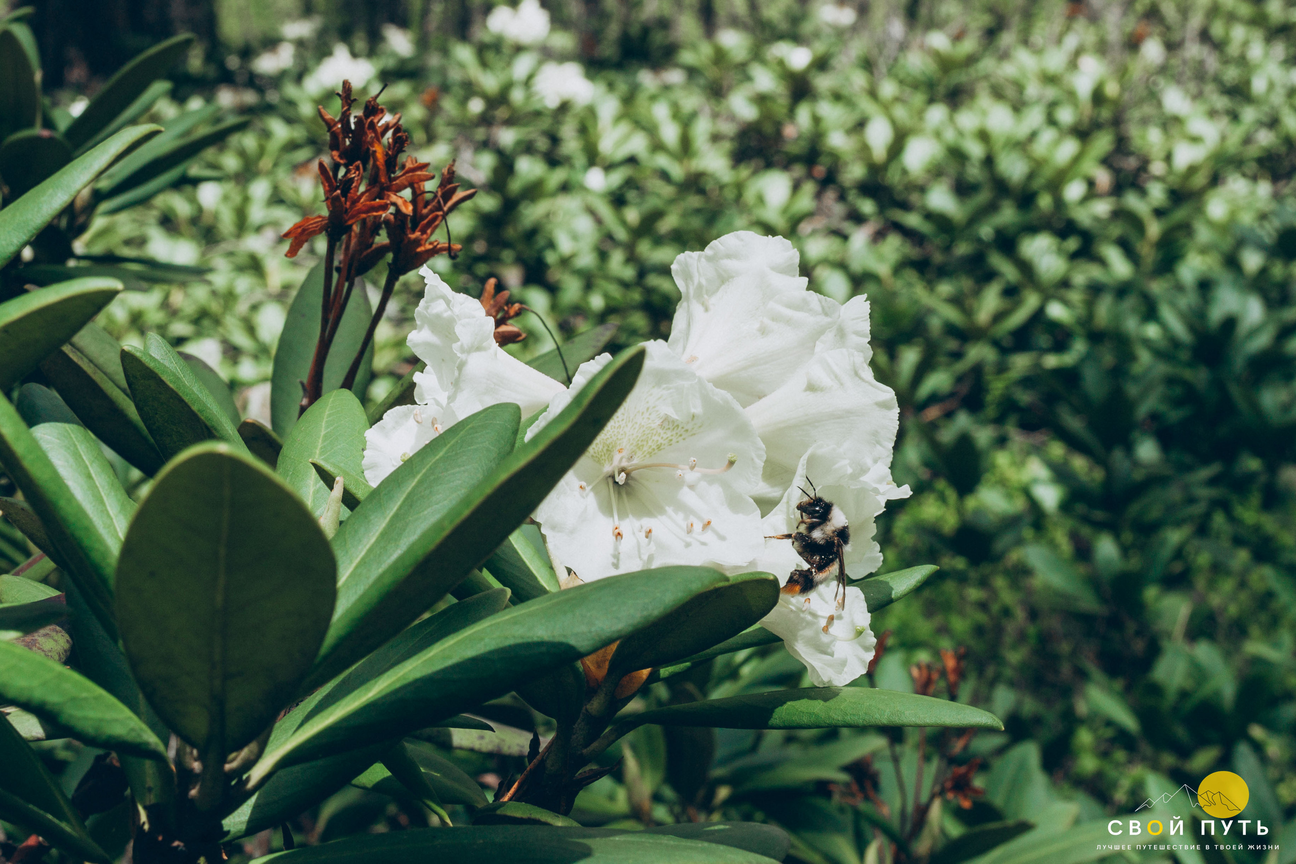 Кабардино-Балкарская Республика. Фотограф в Ростове-на-Дону Юлия Желтова