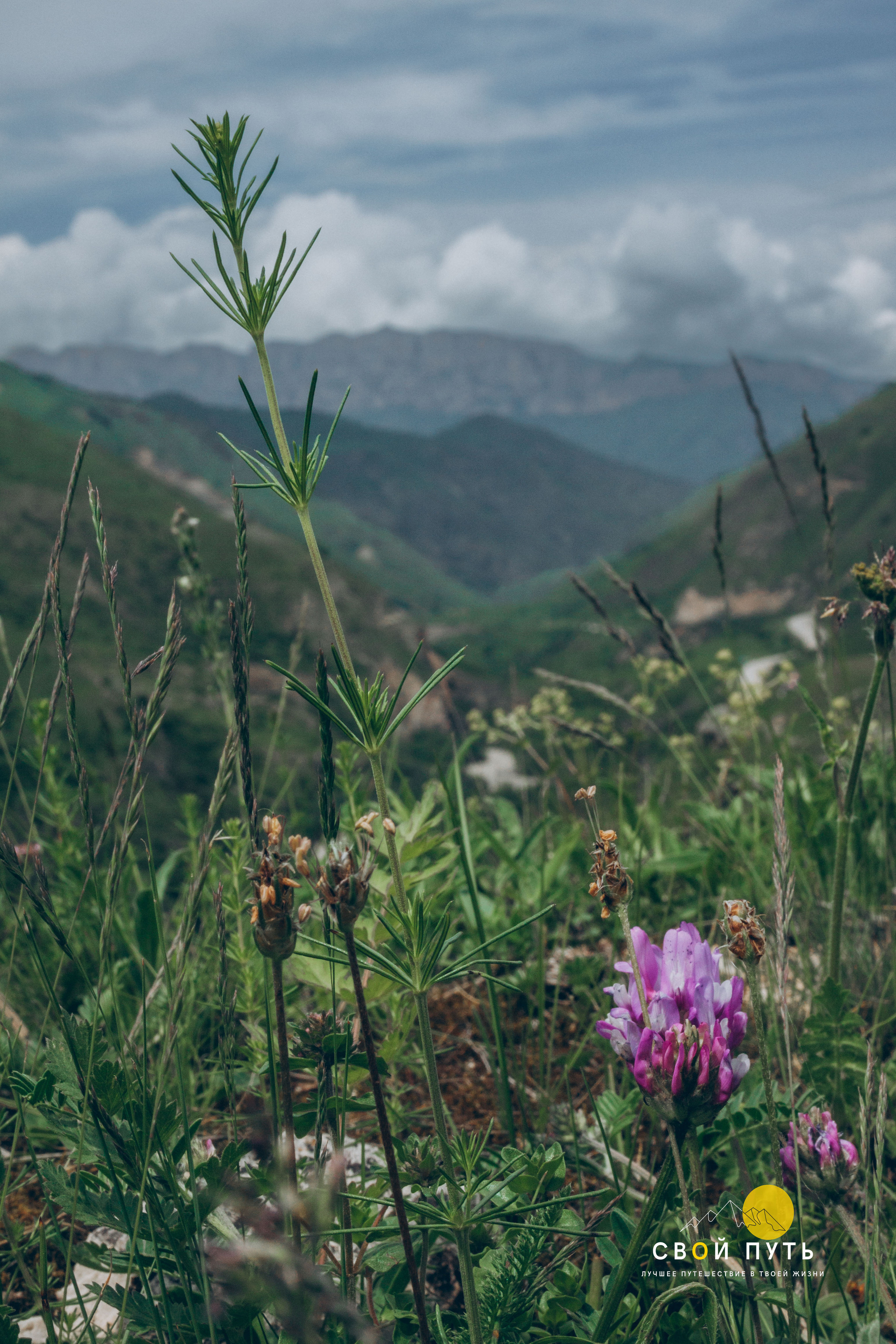 Кабардино-Балкарская Республика. Фотограф в Ростове-на-Дону Юлия Желтова