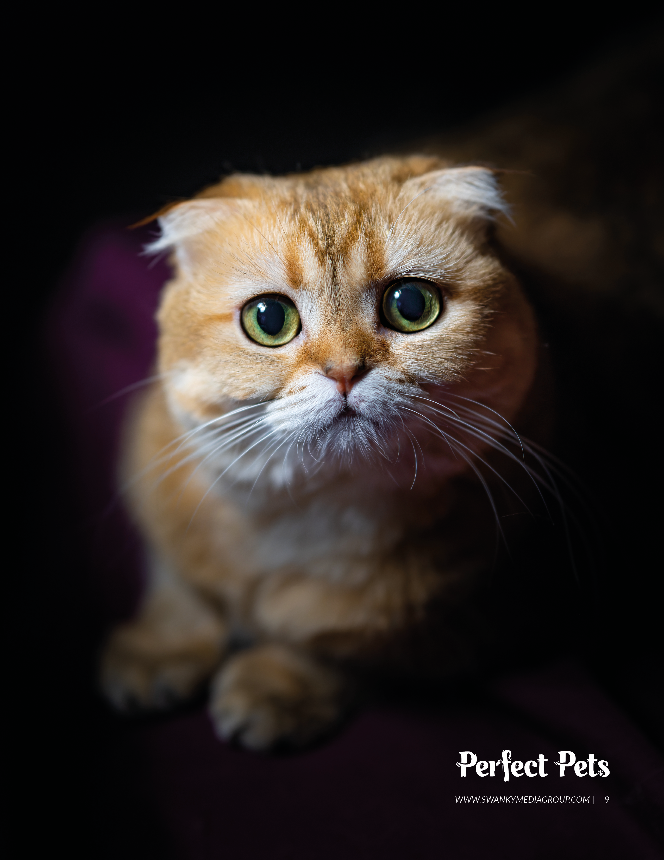 Публикации. Oles Paritskiy