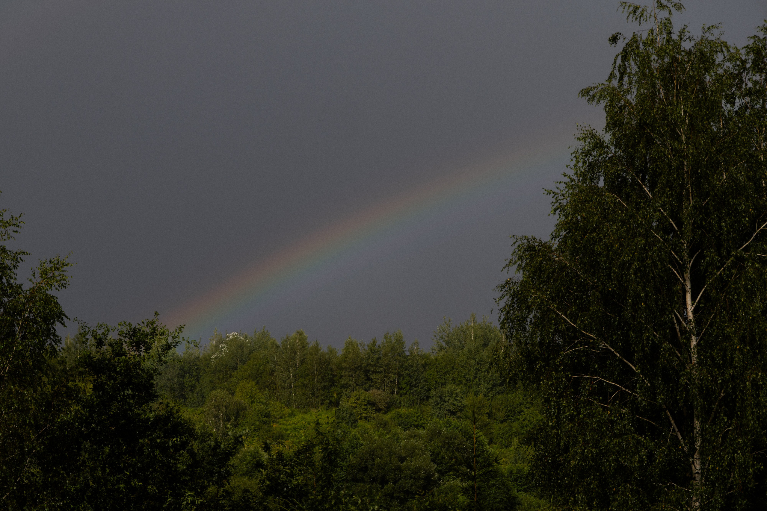 Свадебная фотосессия в агроусадьбе Лабодянка в Минске. Свадебный фотограф в Минске/Беларуси Сергей Спиридонов