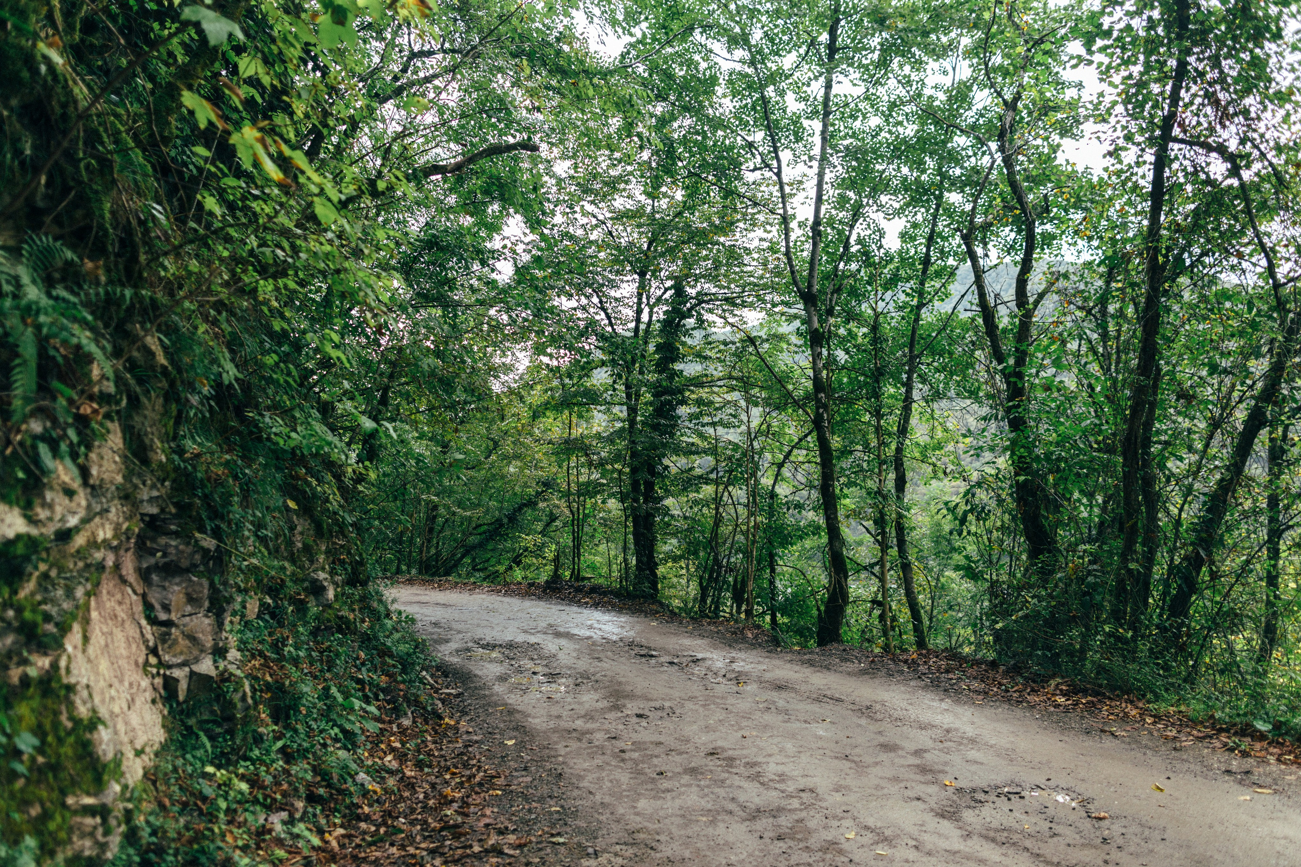 Оштенский Кордон. Семейный фотограф в Белгороде