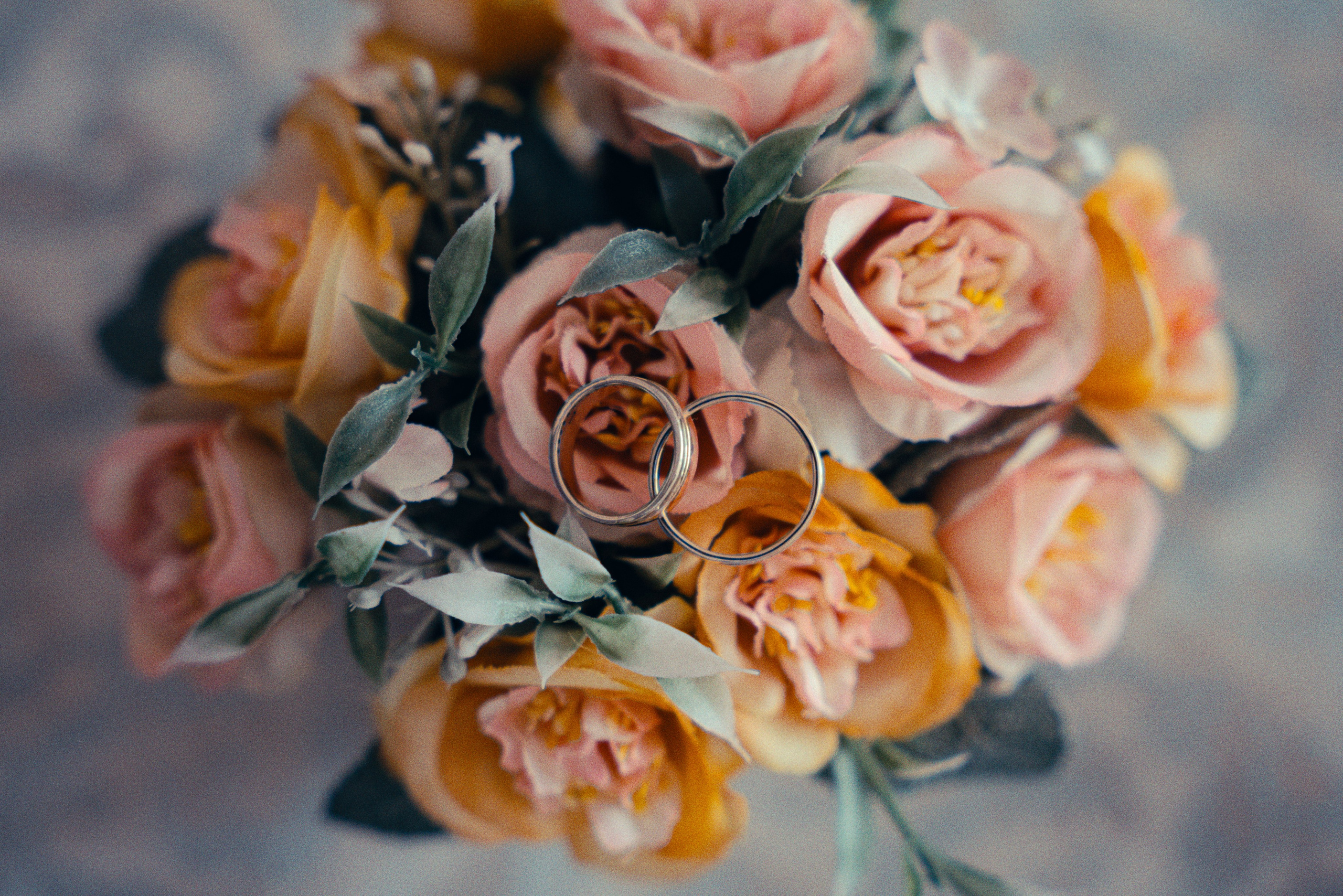 Евгений и Яна. Репортажный и свадебный фотограф Алексей Полячек