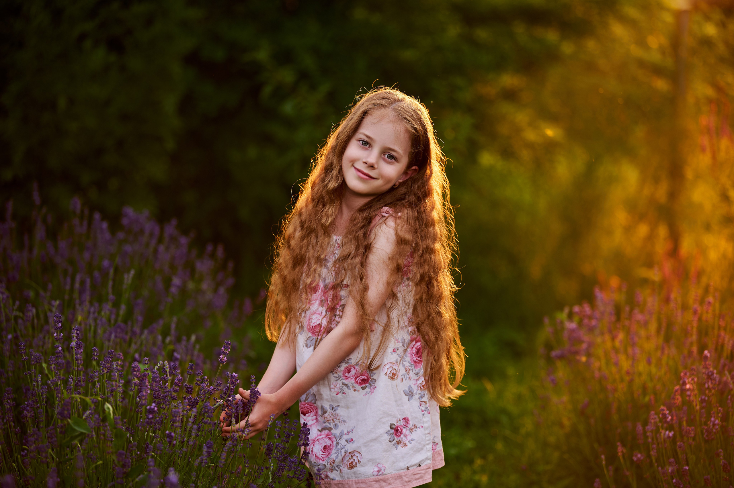 Лаванда на закате. Свадебный, семейный фотограф в Краснодаре