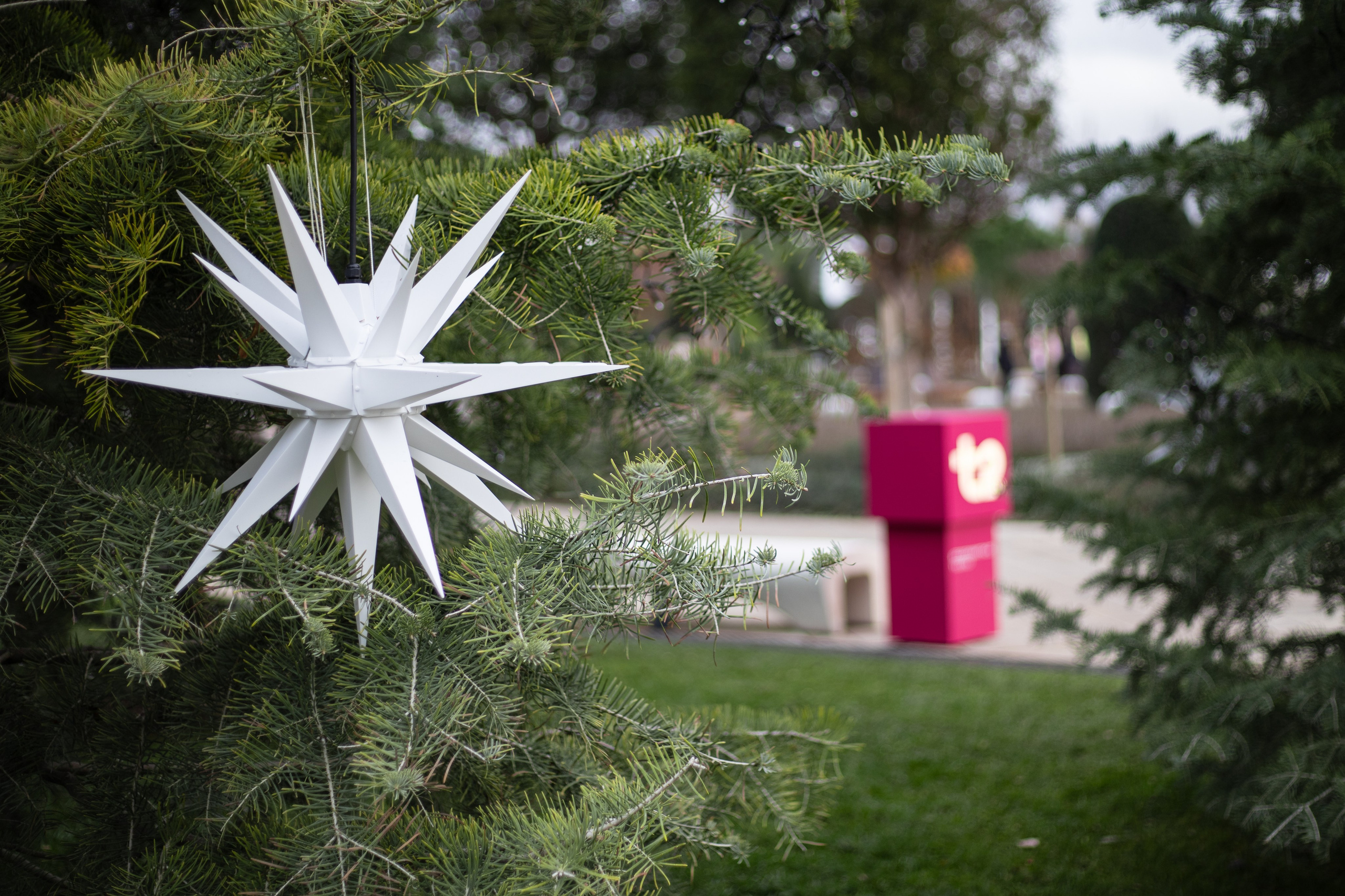 Т2. Фотограф Алиса Лисицына