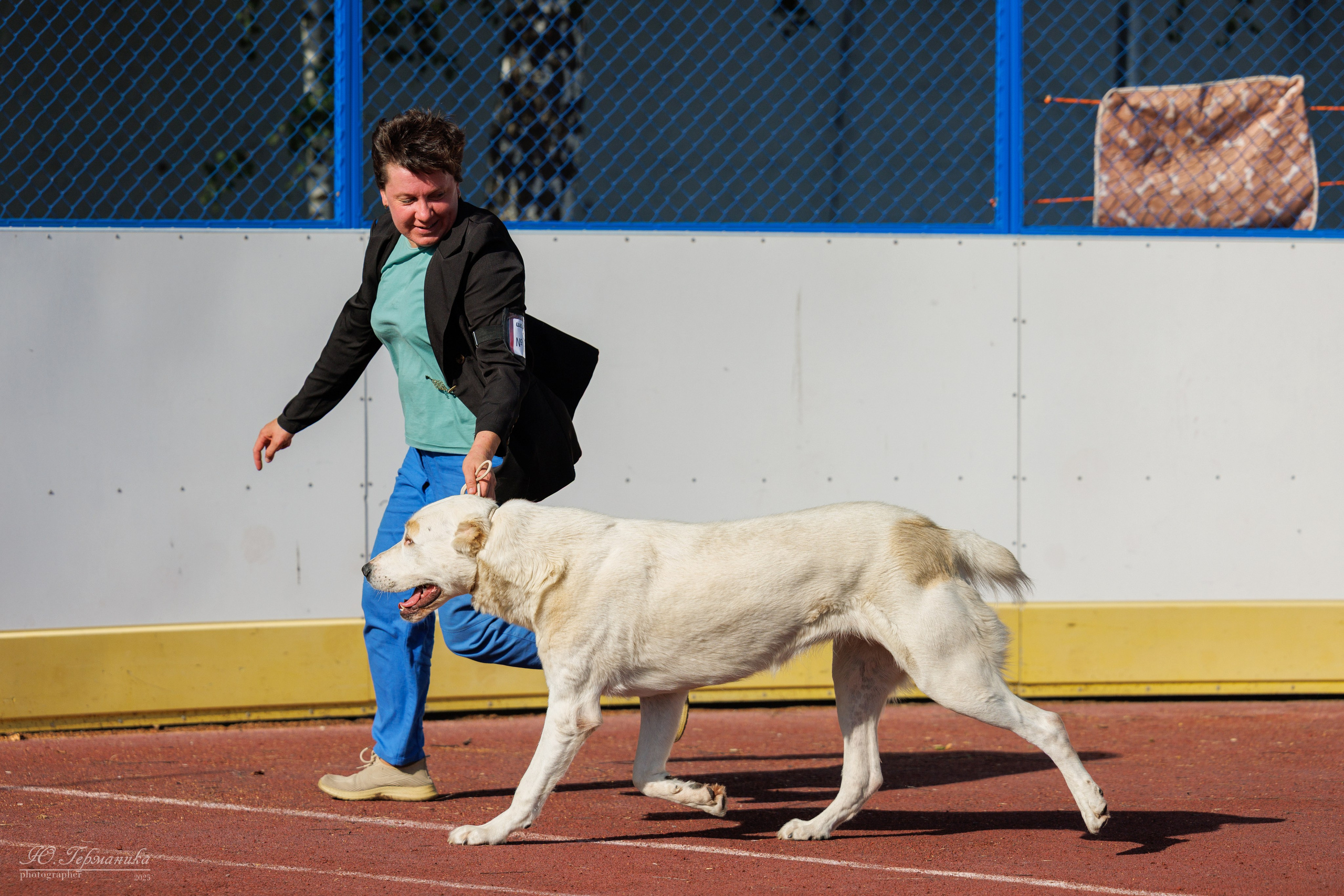 Коломна 30.08.2025. Фотограф-анималист Юлия Германика