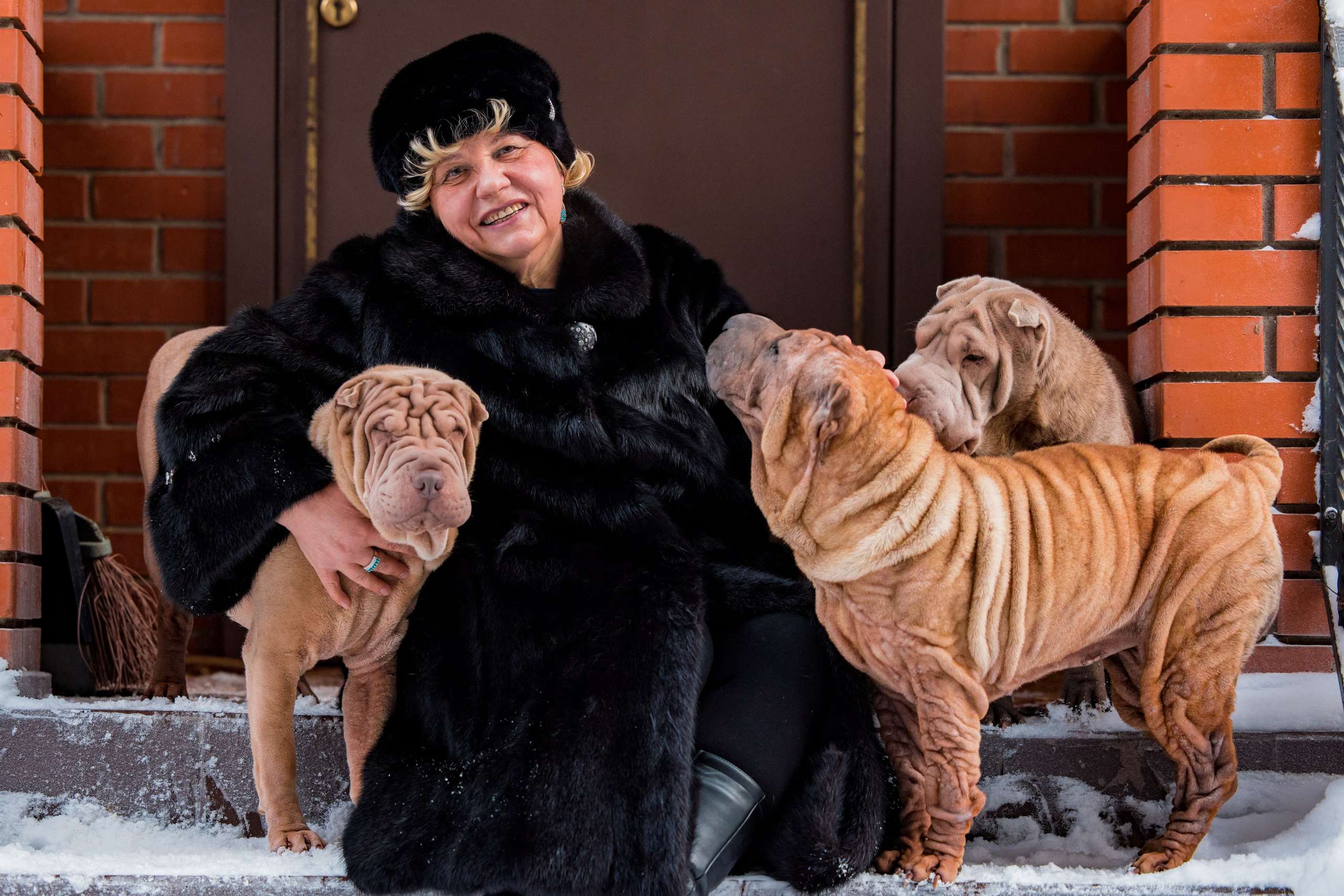 В гостях у шарпеев 16.01.2024. Фотограф-анималист Юлия Германика