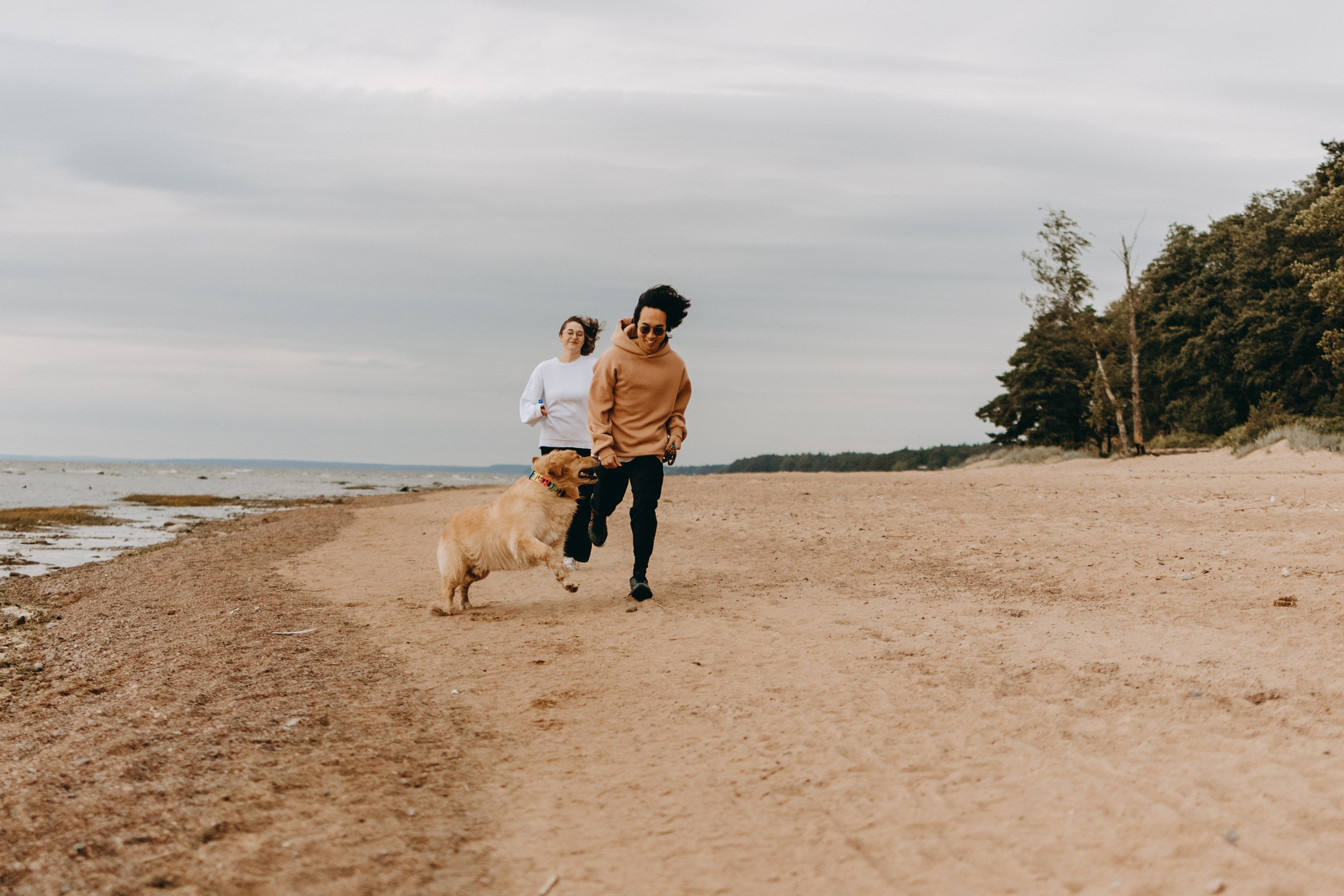 Фоси и его семьи. Фотограф — Анималист | Санкт-Петербург