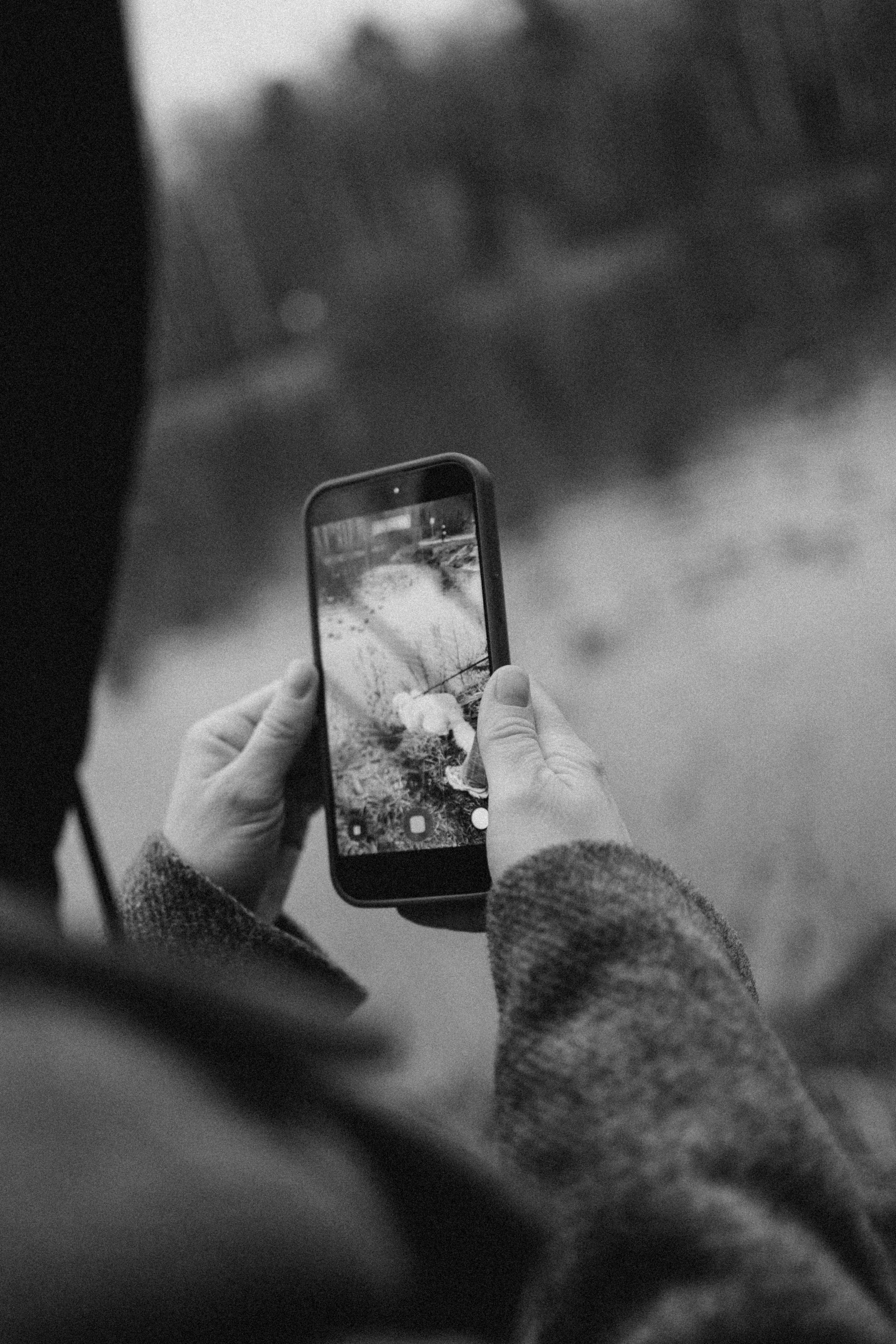 Лаки и его семья. Фотограф — Анималист | Санкт-Петербург