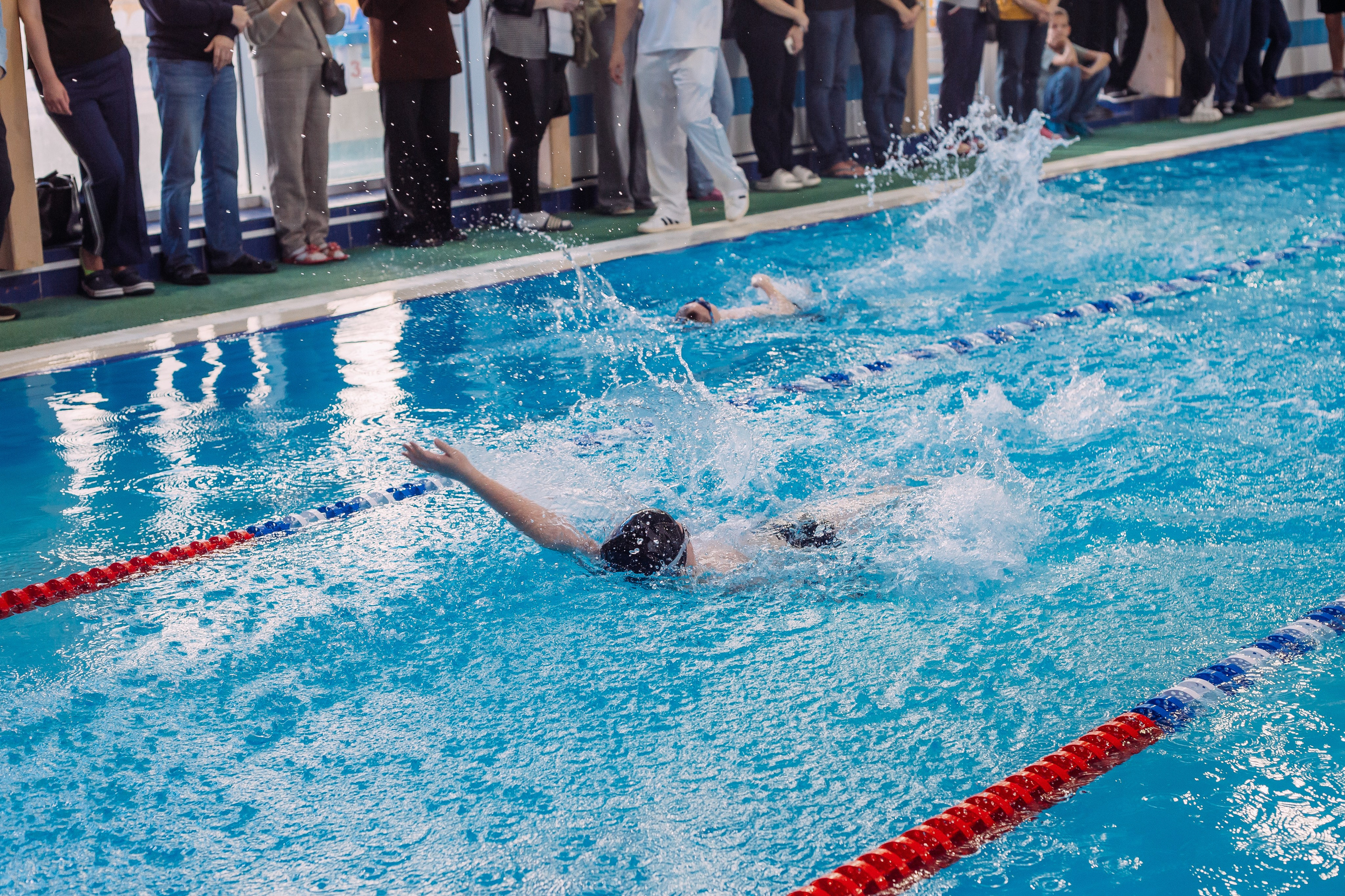Соревнования по плаванию. Семейный фотограф в Волгограде Надежда Головко