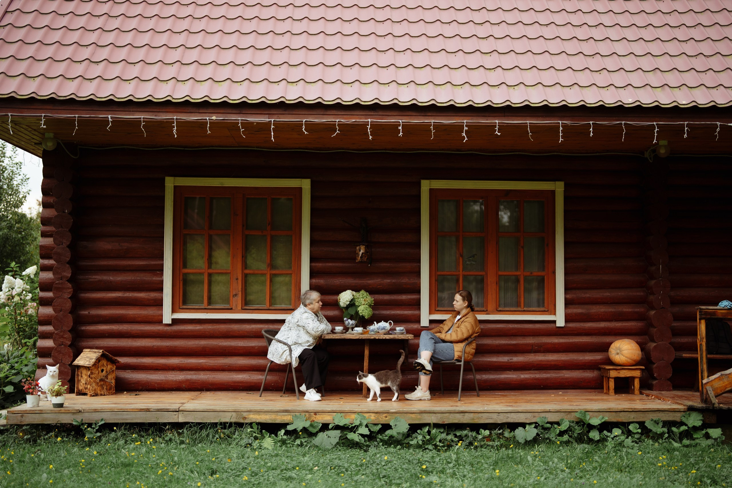 Сюжет № 11|Виктория Алексеенко