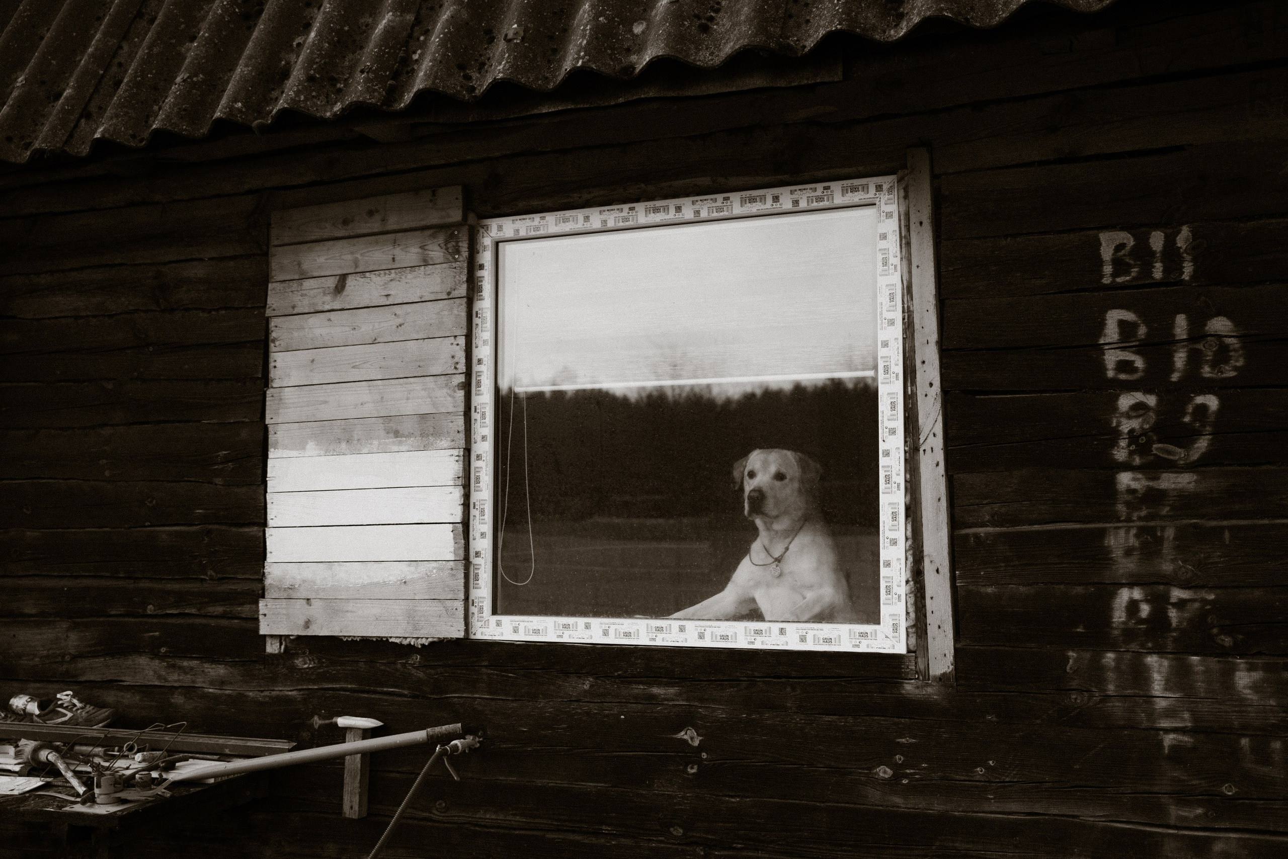 Настя, Алиска и Сеня. Фотограф в Минске — Мария Миллс
