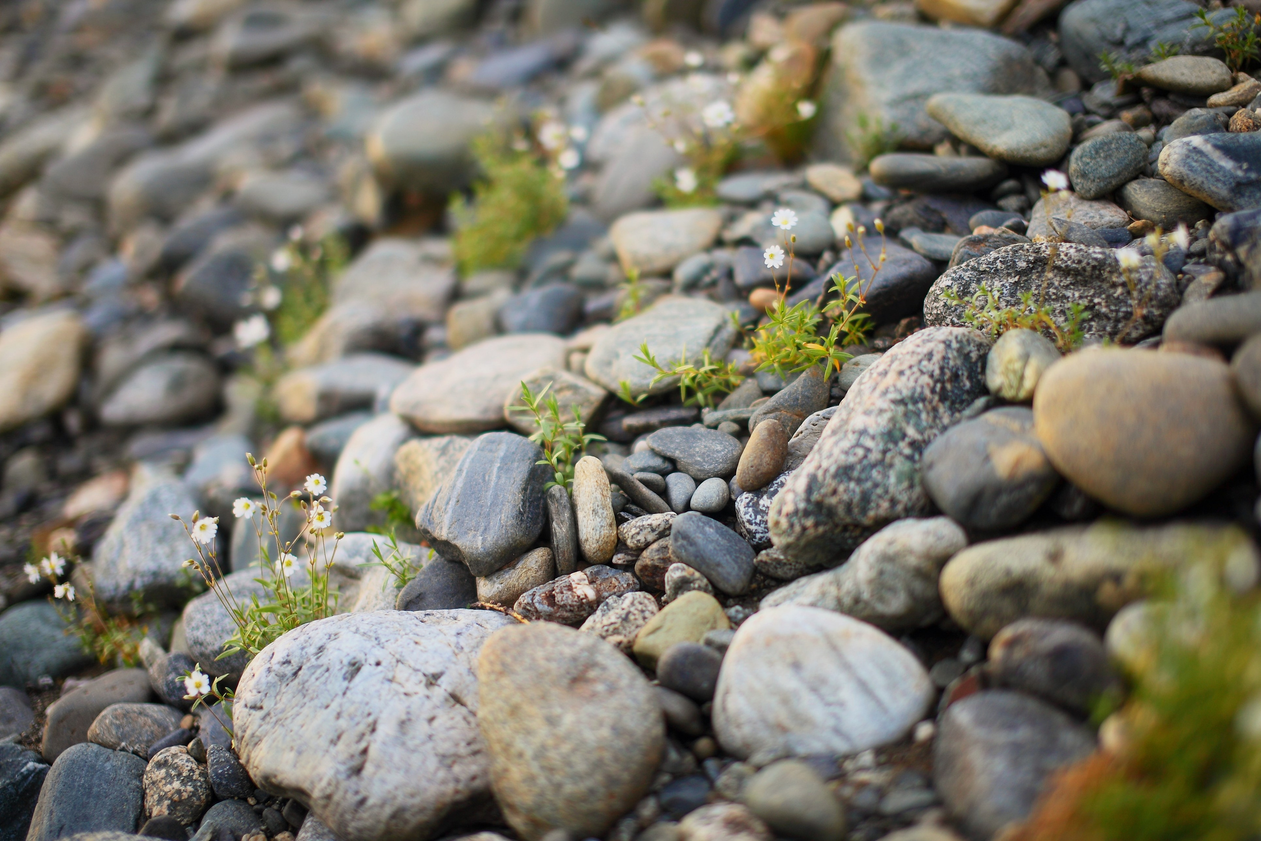 Полярный Урал. Свадебный и репортажный фотограф в Ярославле и Санкт-Петербурге Роман Микрюков