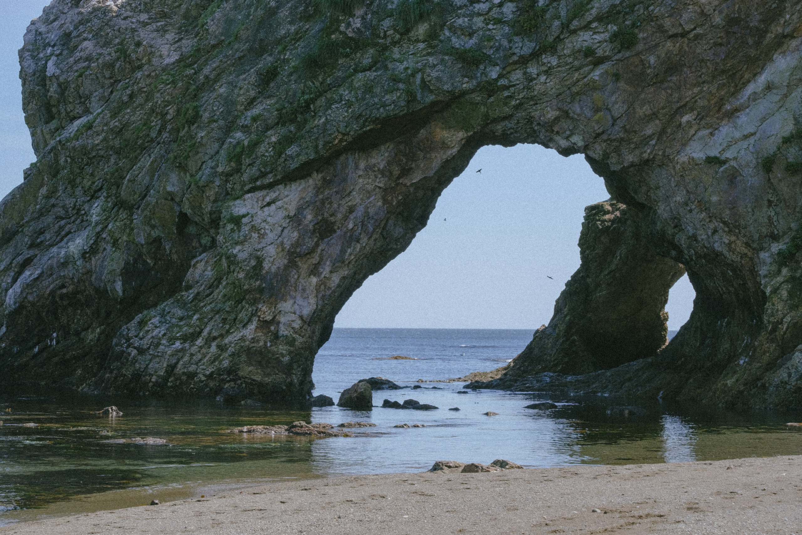 САХАЛИН. Профессиональный фотограф, Санкт-Петербург — Виктория Богомолова