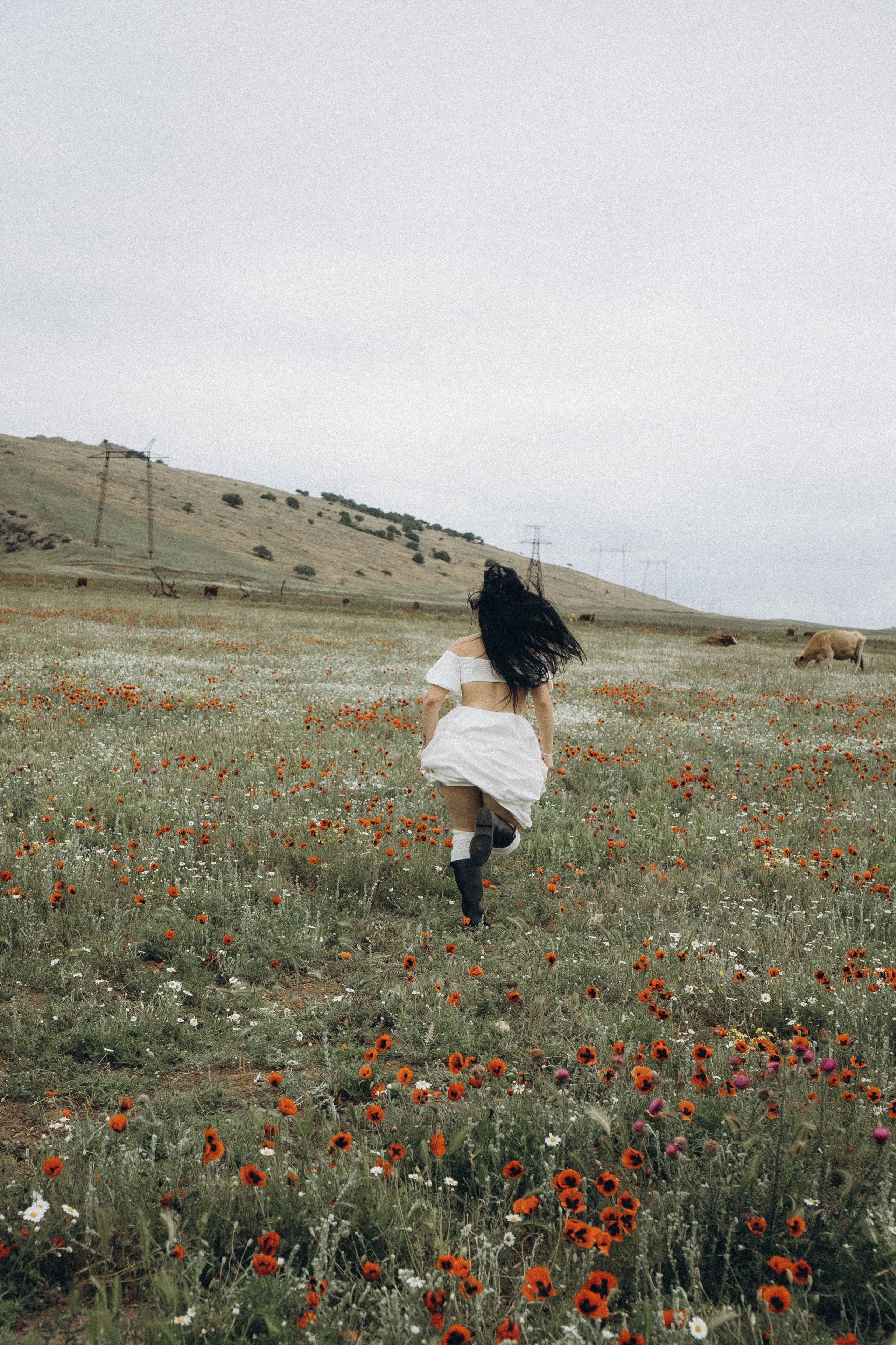 Маковое поле. Профессиональный фотограф, Санкт-Петербург — Виктория Богомолова